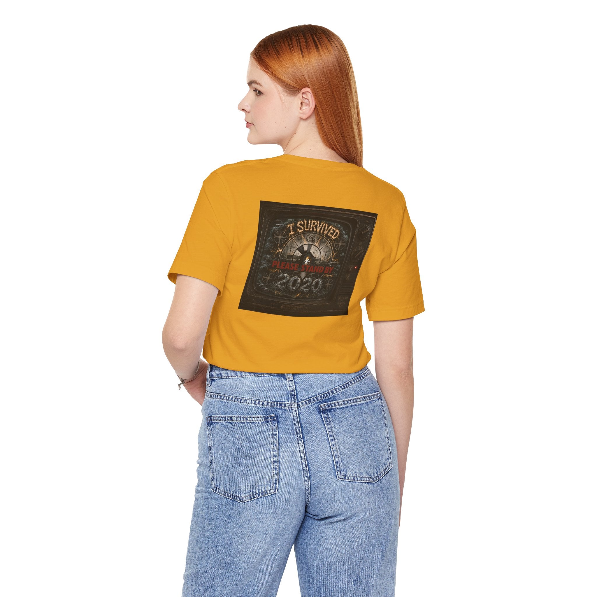 I Survived 2020 — "Please Stand By" Test Pattern Tee Summer Premier Unisex Jersey Short Sleeve Tee