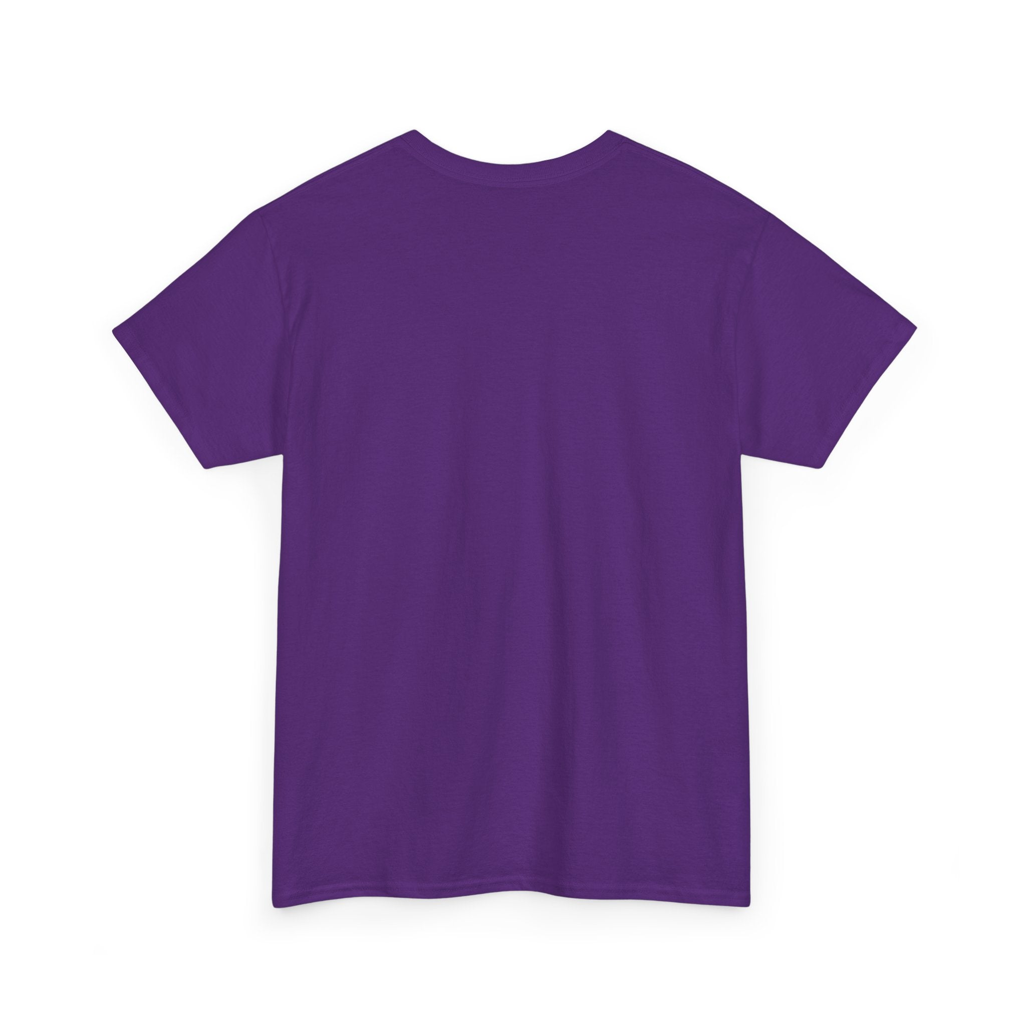 I Survived 2020 — Original Design Teaser Tee | Season 1 Premiere Drop Unisex Heavy Cotton Tee