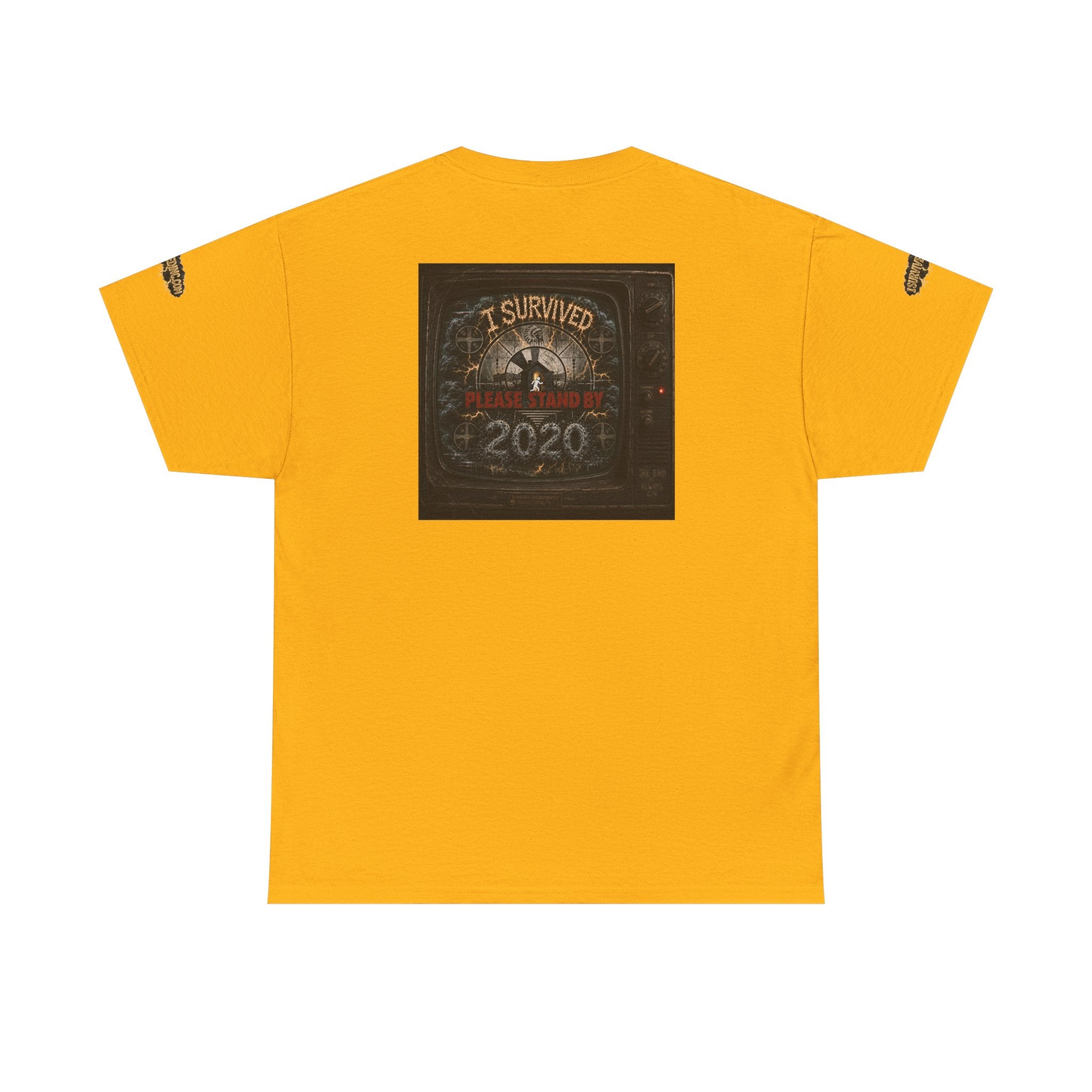 I Survived 2020 — "Please Stand By" Test Pattern Tee Special Edition Summer Premier Unisex Heavy Cotton Tee