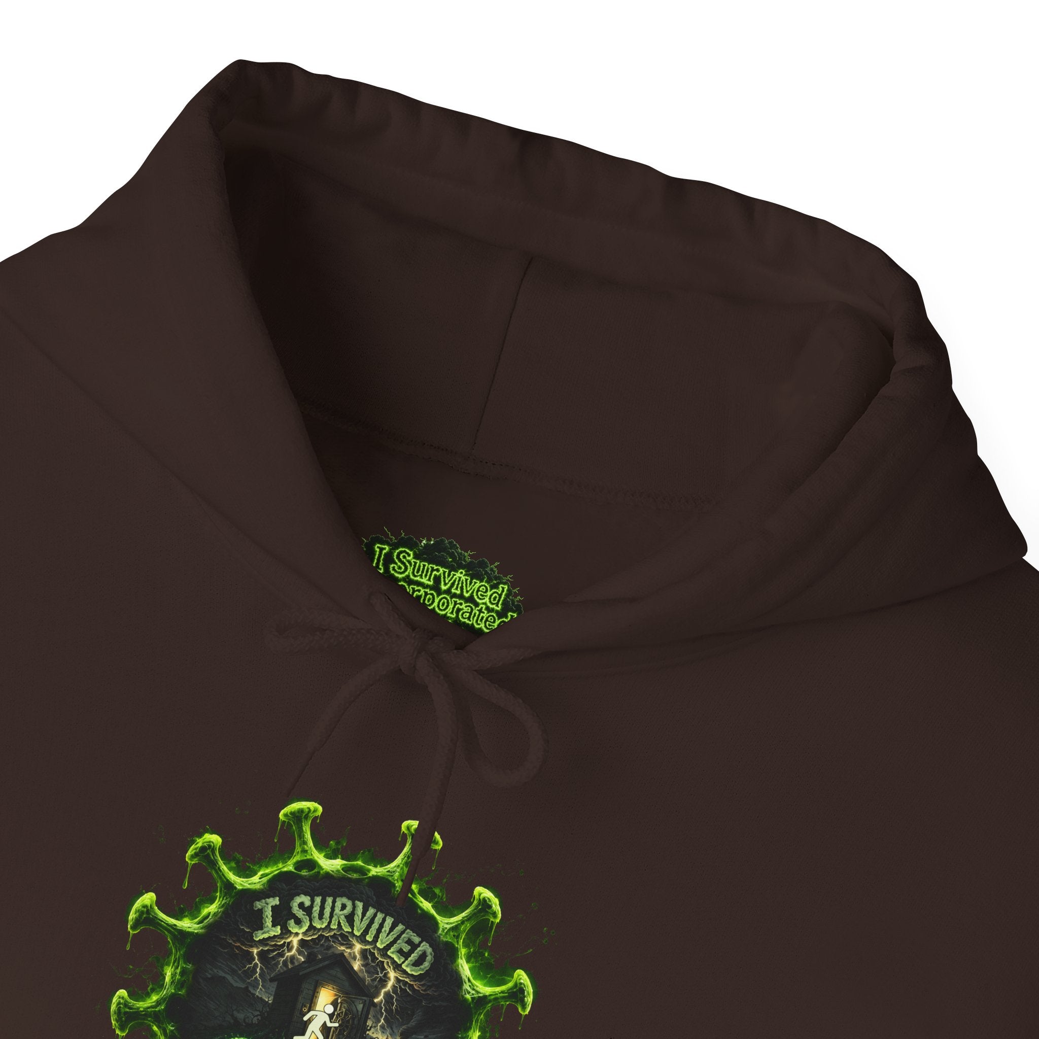 I Survived 2020 — Director's Cut S1:E4 "Mask Madness Mayhem Moment" | Pandemic Edition Hoodie Sweatshirt