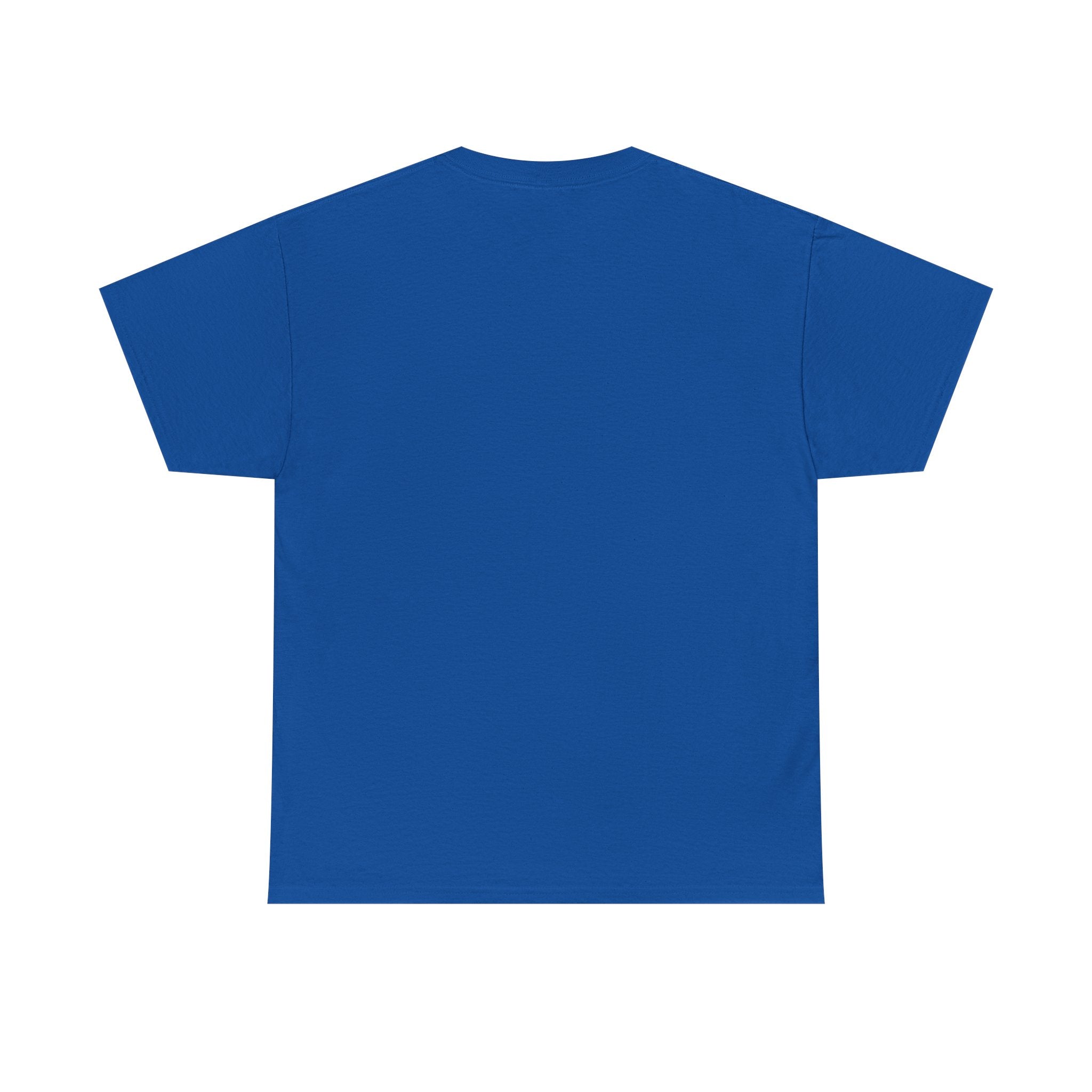 I Survived 2020 — Original Design Teaser Tee | Season 1 Premiere Drop Unisex Heavy Cotton Tee