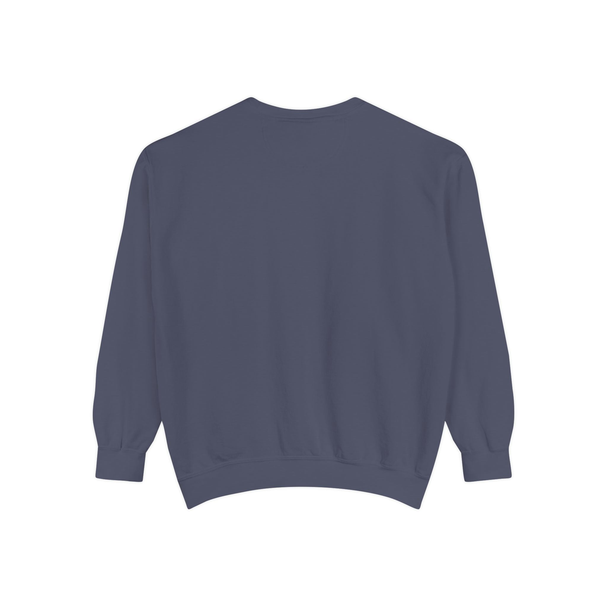 I Survived 2020 — Original Design Teaser Sweatshirt | Season 1 Premiere Drop Unisex Garment-Dyed Sweatshirt