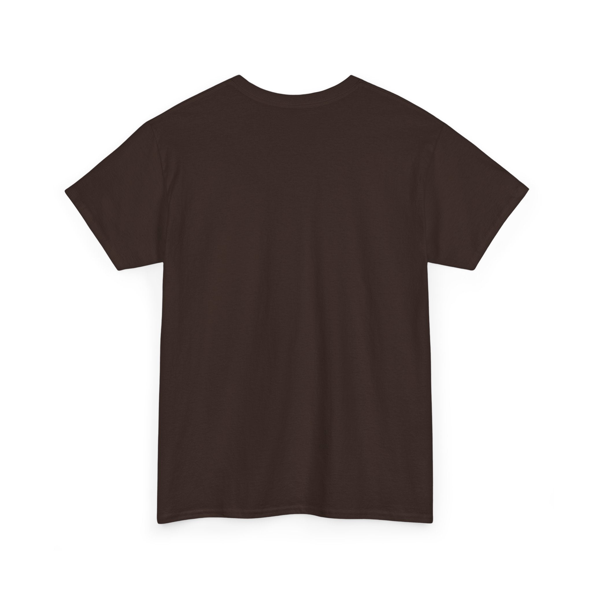 I Survived 2020 —  Deriector's Cut Original Design Teaser Tee | Season 1 Premiere Drop Unisex Heavy Cotton Tee