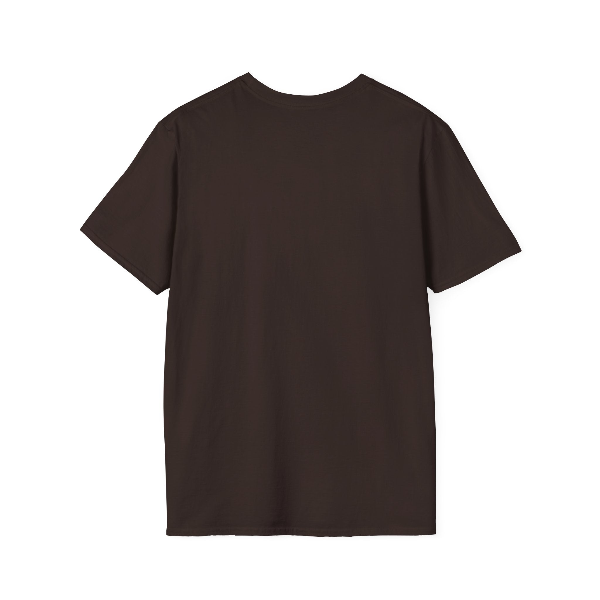 I Survived 2020 — Original PILOT Design Unisex Softstyle T-Shirt