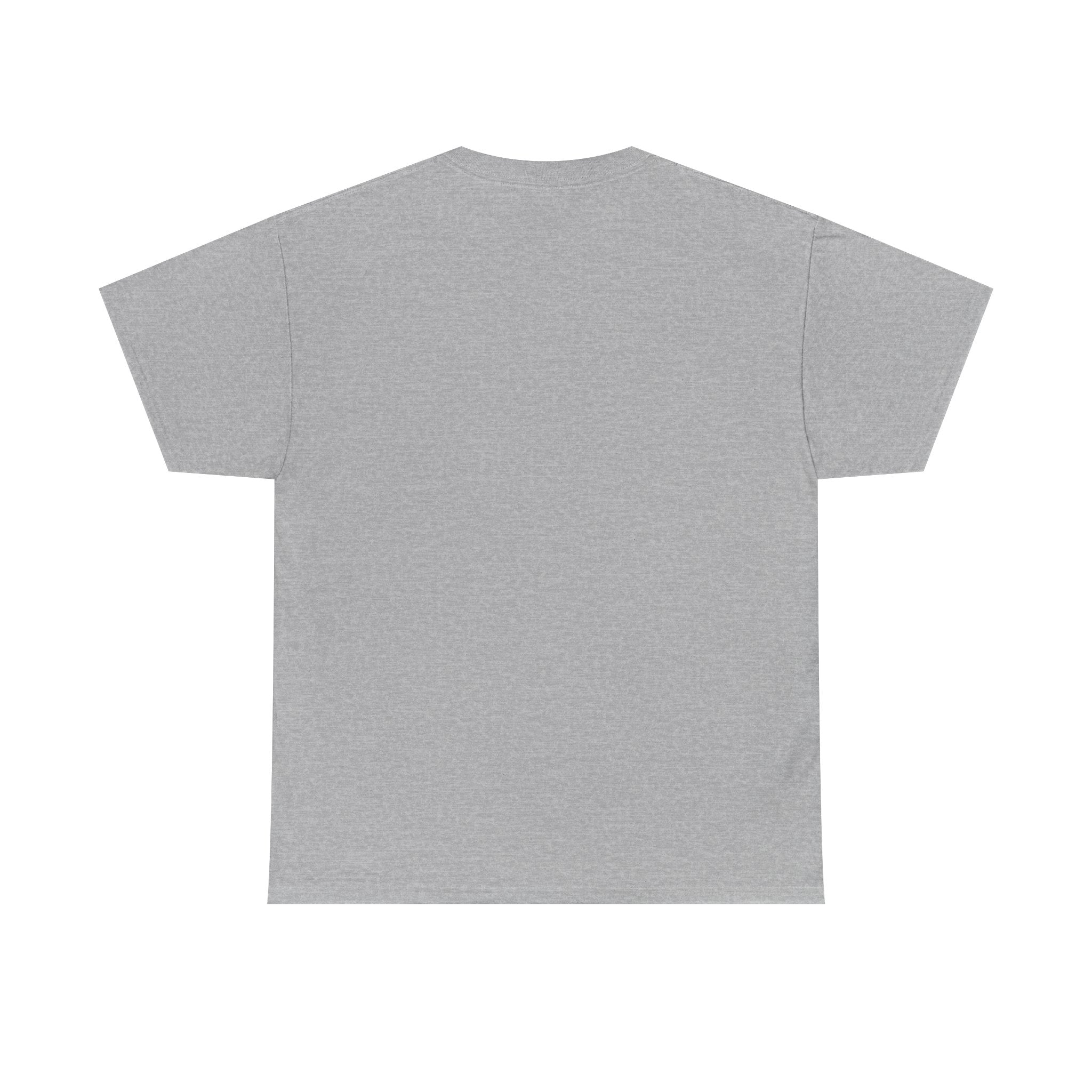 I Survived 2020 — Original Design Teaser Tee | Season 1 Premiere Drop Unisex Heavy Cotton Tee