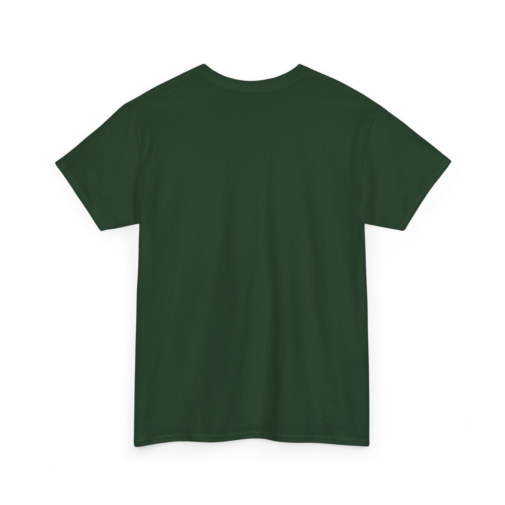 I Survived 2020 — Director's Cut Original Design Teaser Tee | Season 1 Premiere Drop Unisex Heavy Cotton Tee