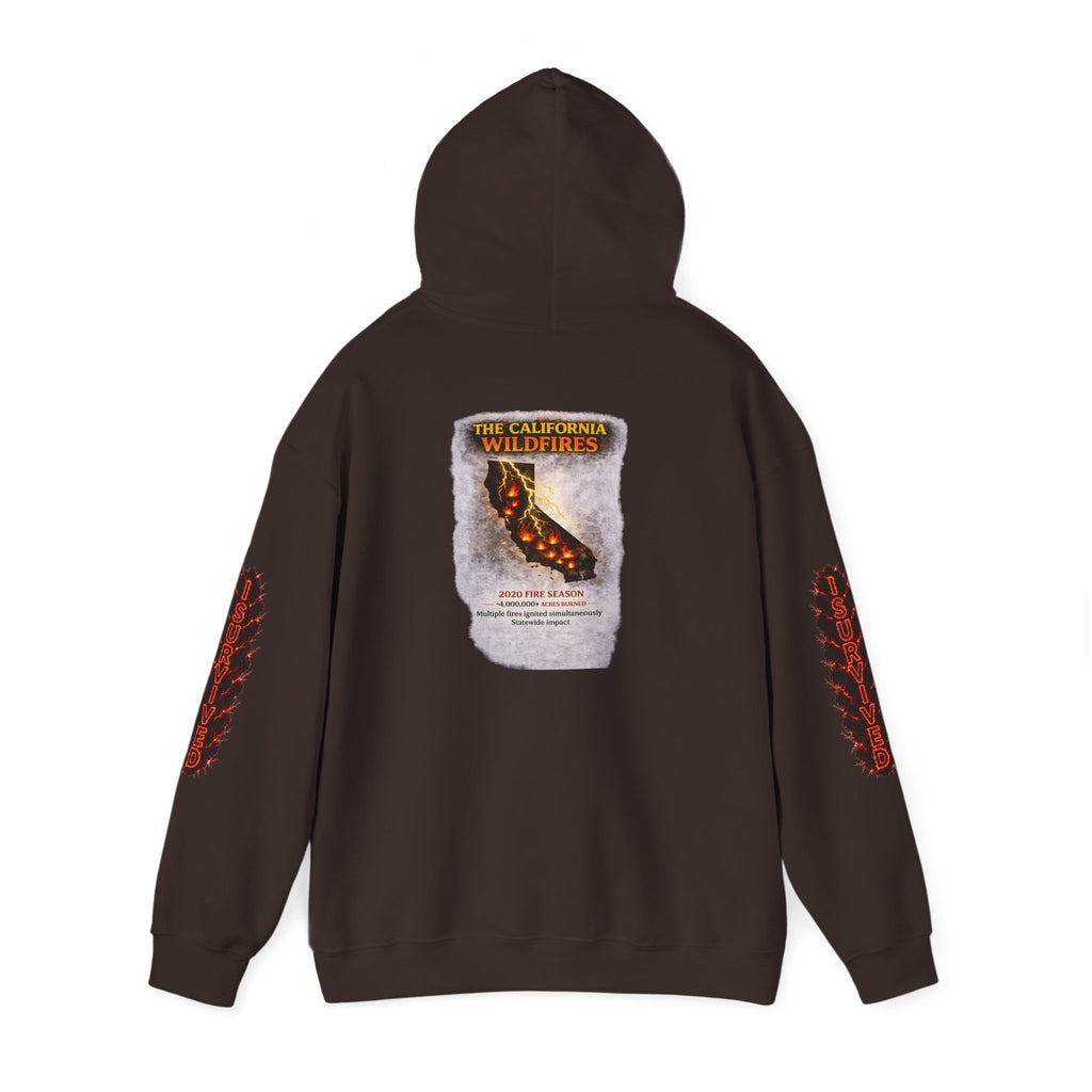I Survived 2020 — Director's Cut S2:E3 "The California Wildfires" | Wildfire Edition Memorial Hoodie Sweatshirt