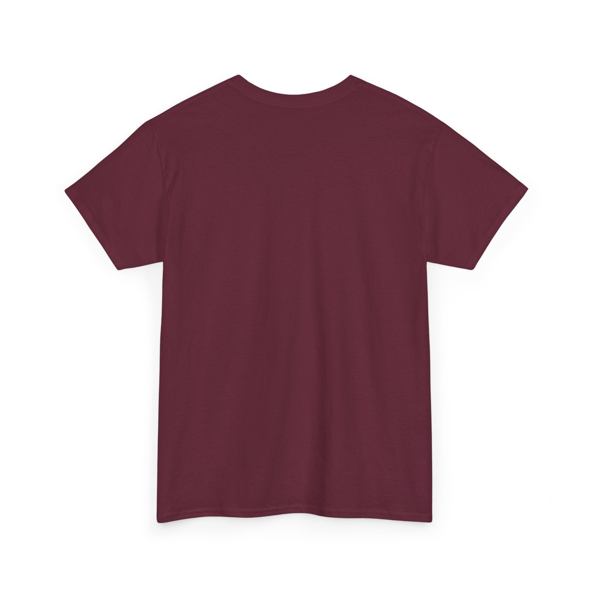 I Survived 2020 — Original Design Teaser Tee | Season 1 Premiere Drop Unisex Heavy Cotton Tee