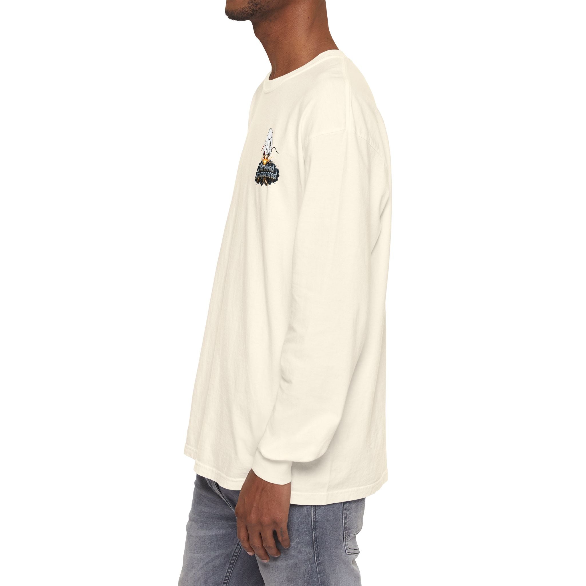 I Survived 2020 — "Please Stand By" Test Pattern Tee Summer Premier Unisex Garment-Dyed Long Sleeve T-Shirt