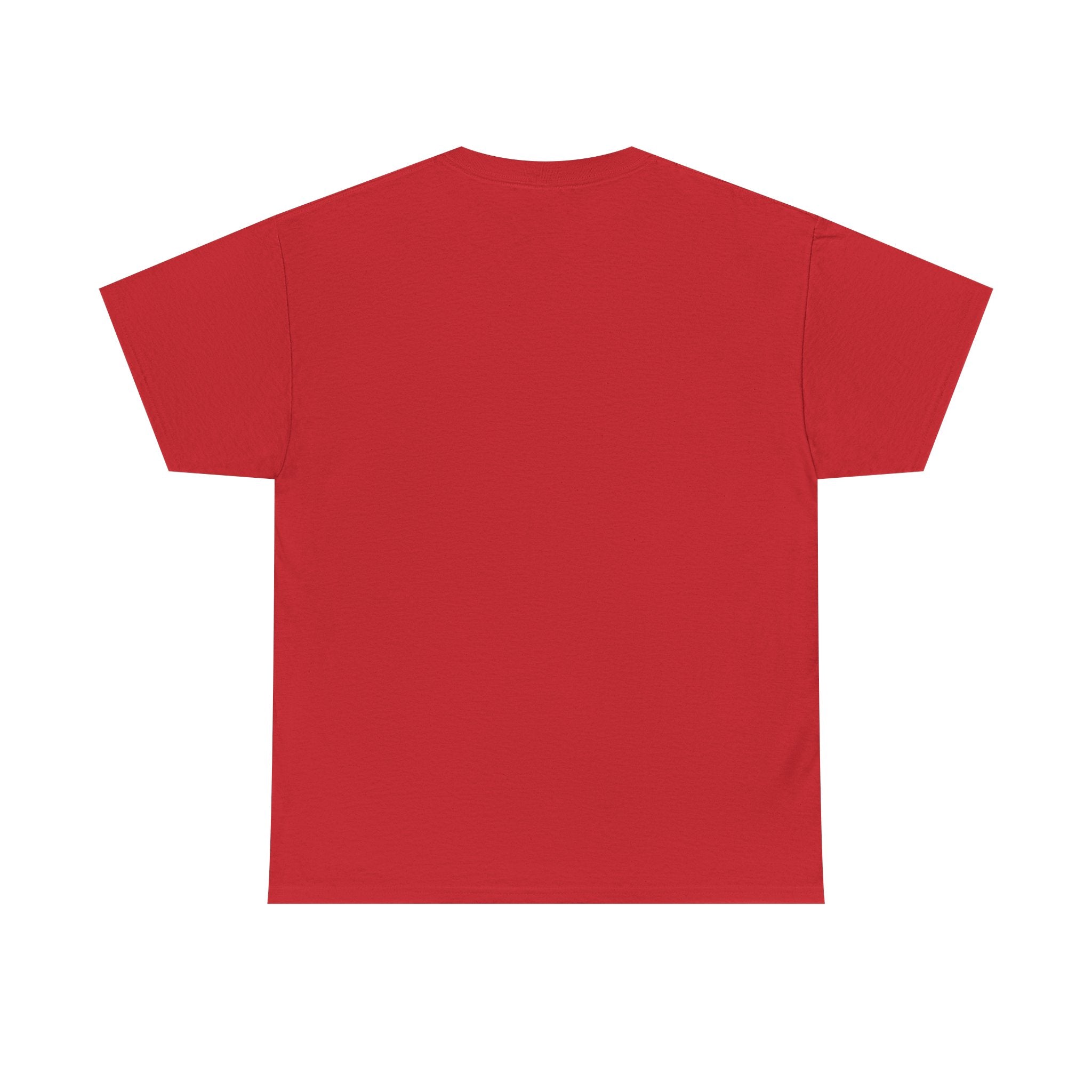 I Survived 2020 — Original Design Teaser Tee | Season 1 Premiere Drop Unisex Heavy Cotton Tee