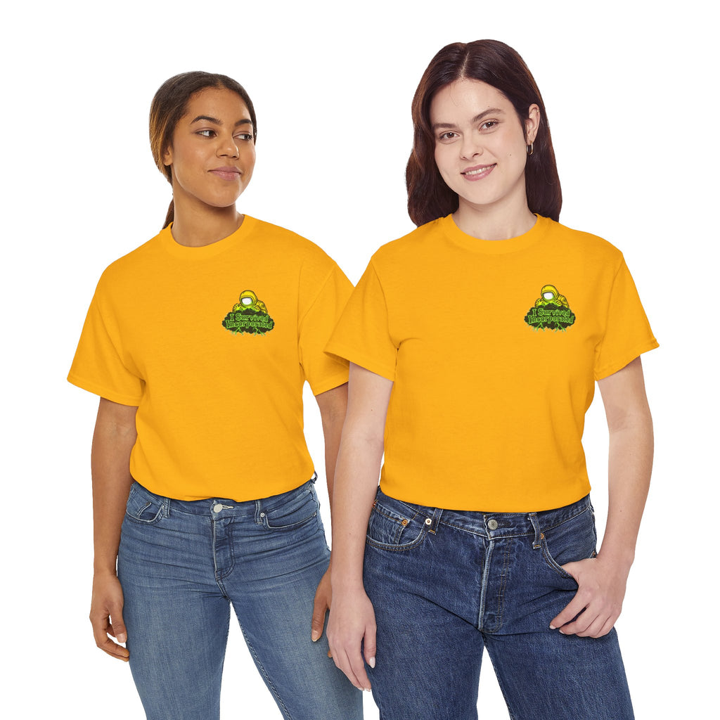 I Survived 2020 — "Please Stand By" Test Pattern Toxic Signal Tee Summer Premiere Unisex Heavy Cotton Tee