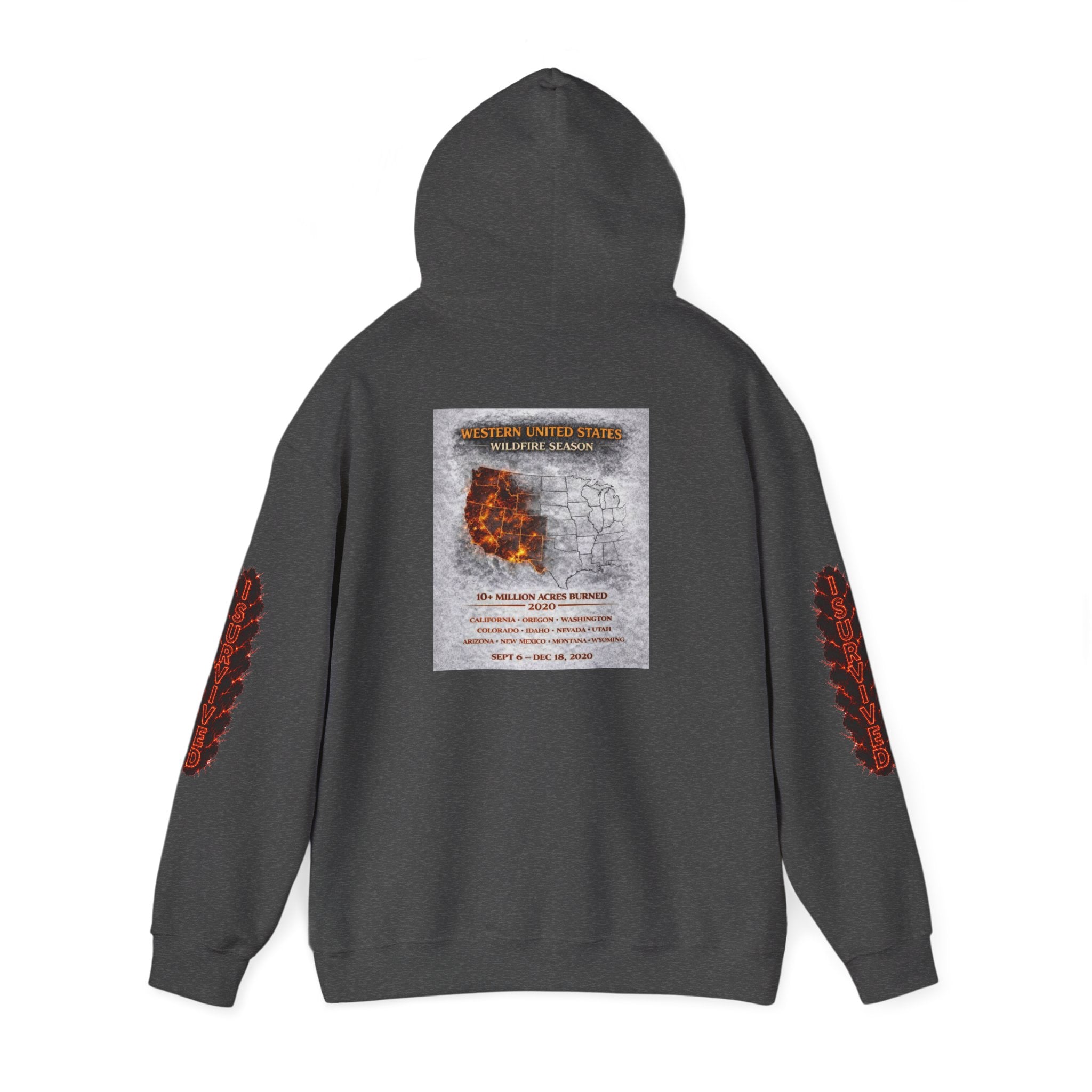 I Survived 2020 — Director's Cut S2:E4 "Western U.S. Wildfire Season" | Mid-Season Finale Pt. 1 | Wildfire Edition Memorial Hoodie Sweatshirt