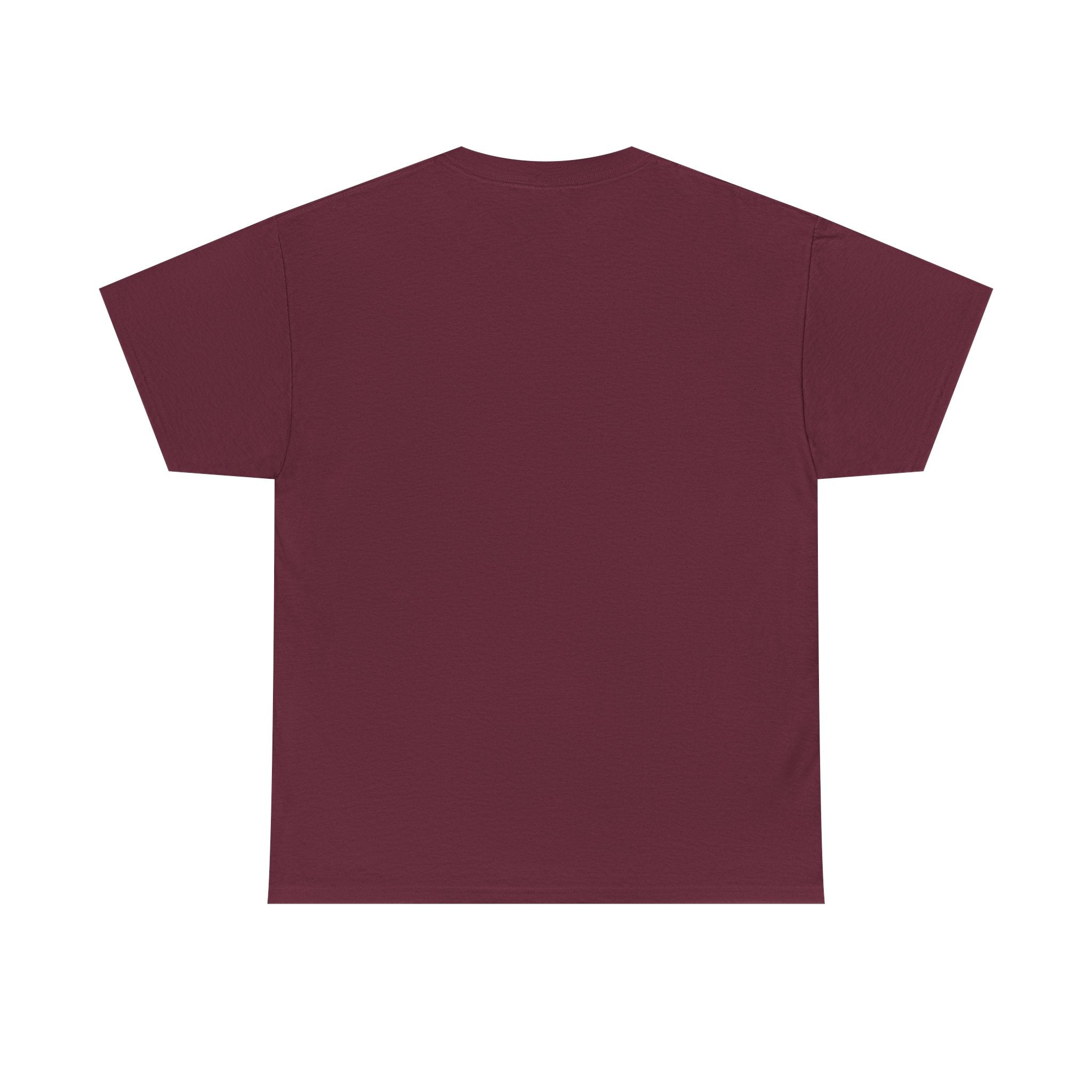I Survived 2020 — Director's Cut Original Design Teaser Tee | Season 1 Premiere Drop Unisex Heavy Cotton Tee