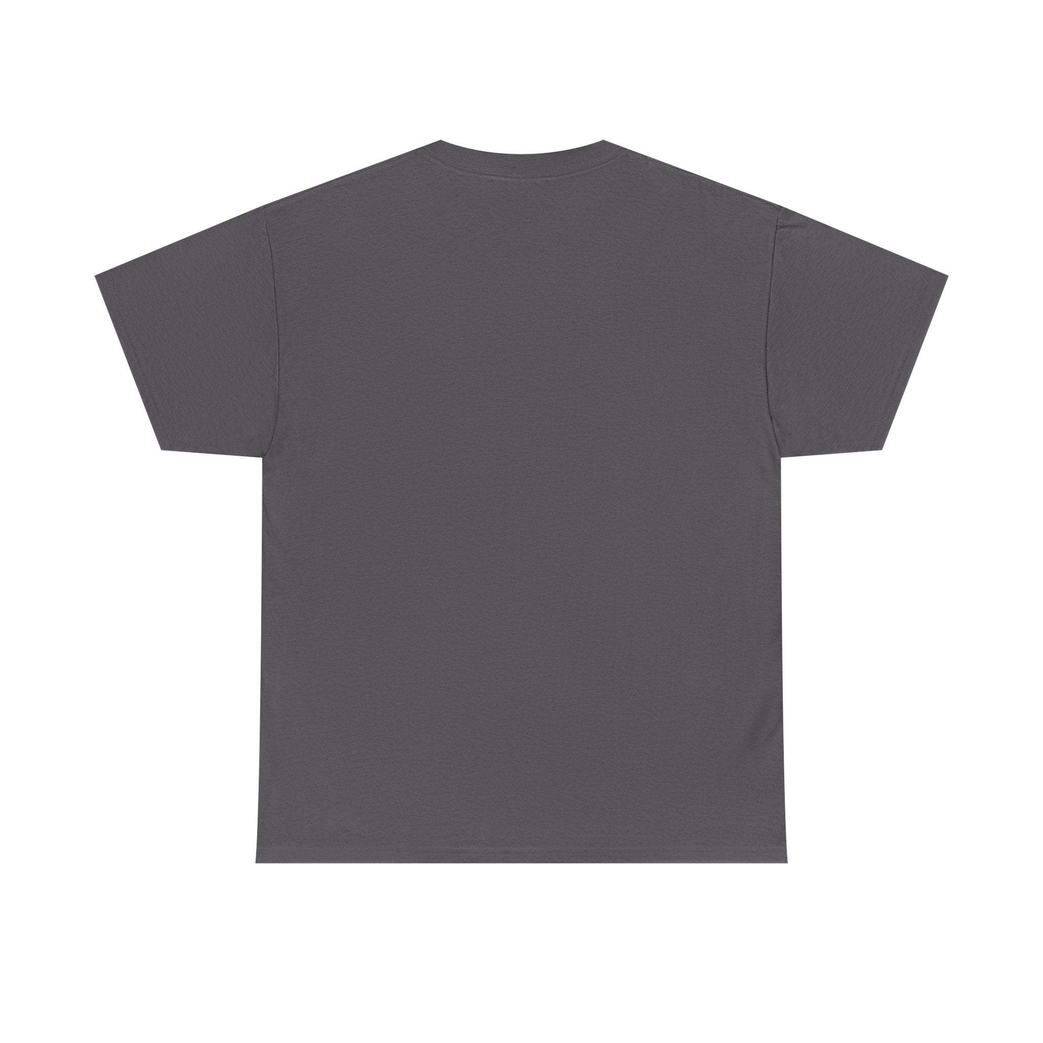 I Survived 2020 — Original Design Teaser Tee | Season 1 Premiere Drop Unisex Heavy Cotton Tee