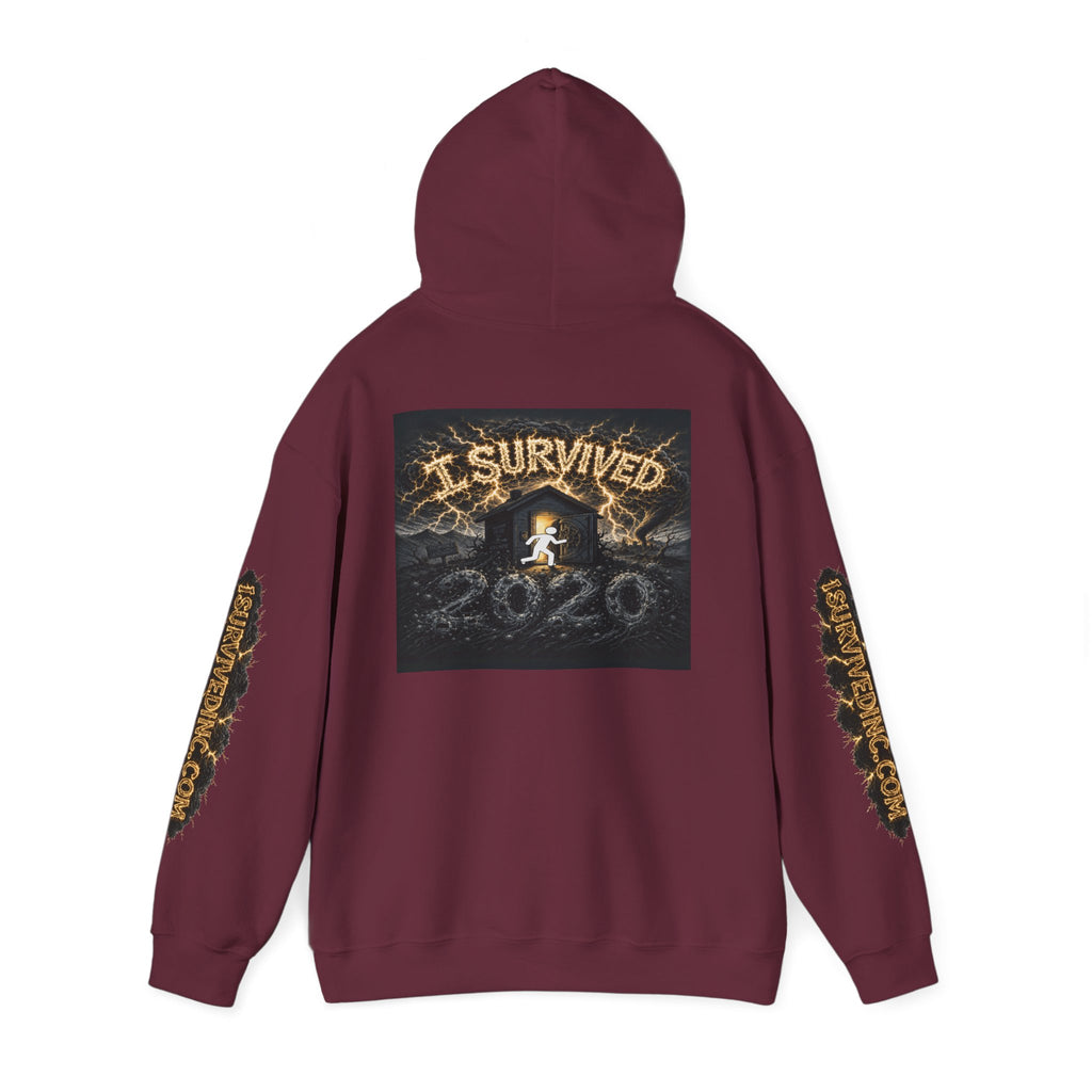 I Survived 2020 - Original PILOT Design Hoodie