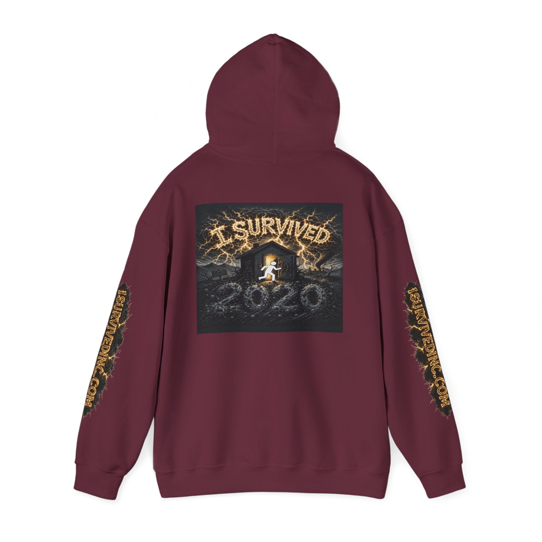 I Survived 2020 - Original PILOT Design Hoodie