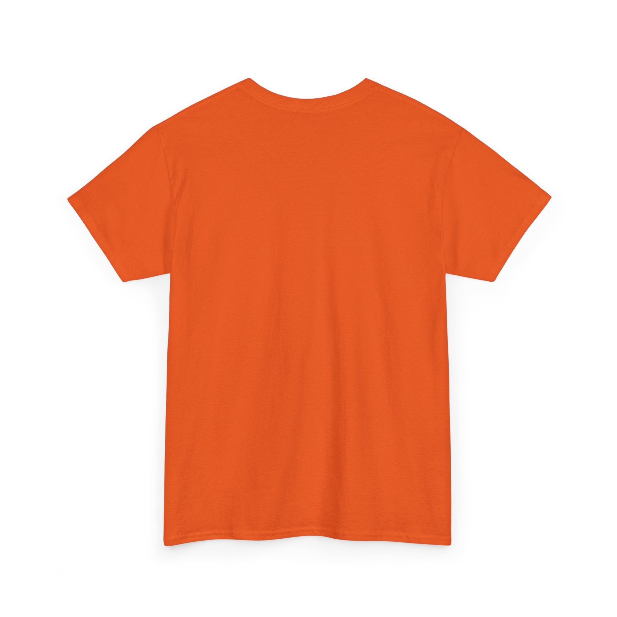 I Survived 2020 — Director's Cut Original Design Teaser Tee | Season 1 Premiere Drop Unisex Heavy Cotton Tee