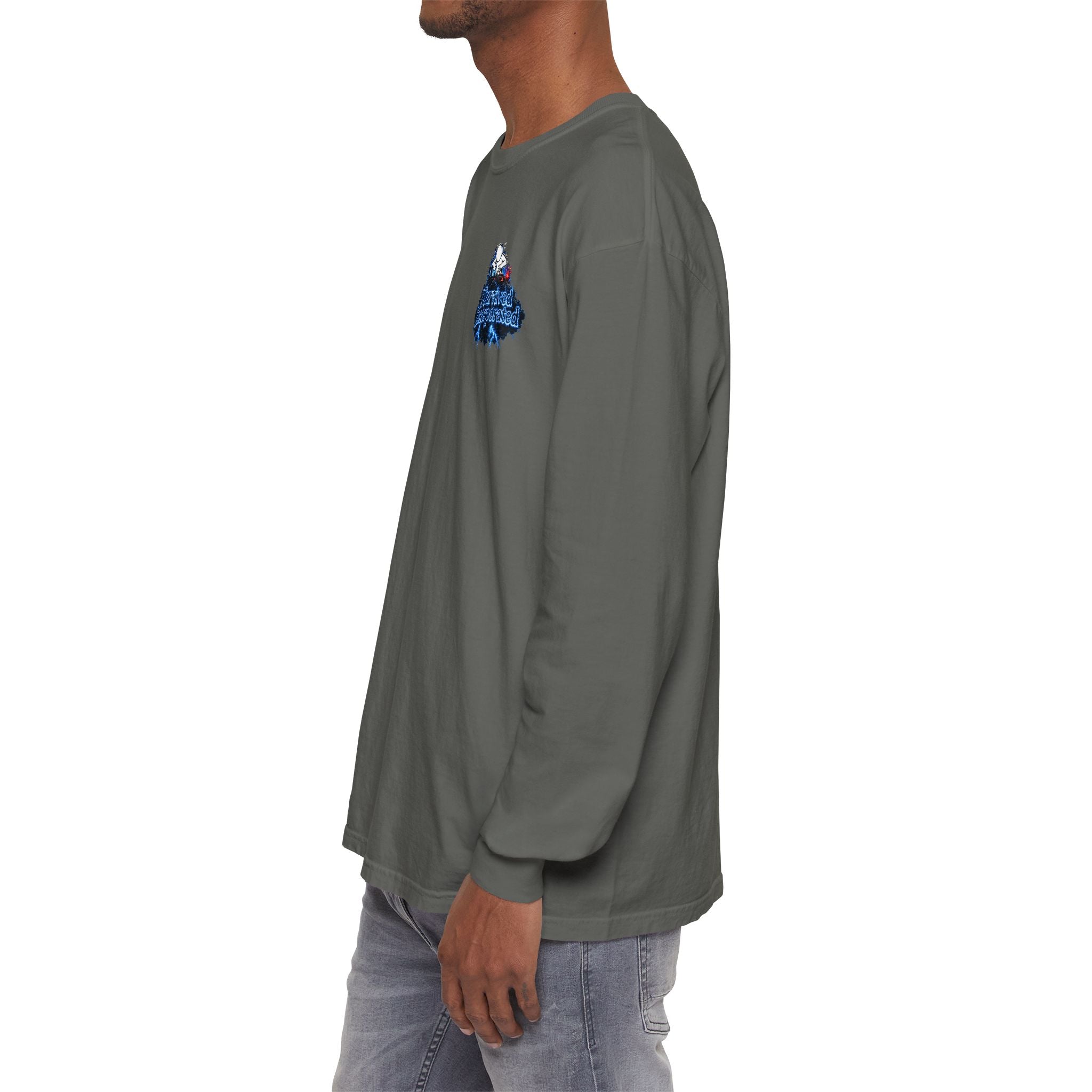 I Survived 2020 — "Please Stand By" Test Pattern Tee Lockdown Edition Summer Exclusive Unisex Garment-Dyed Long Sleeve T-Shirt