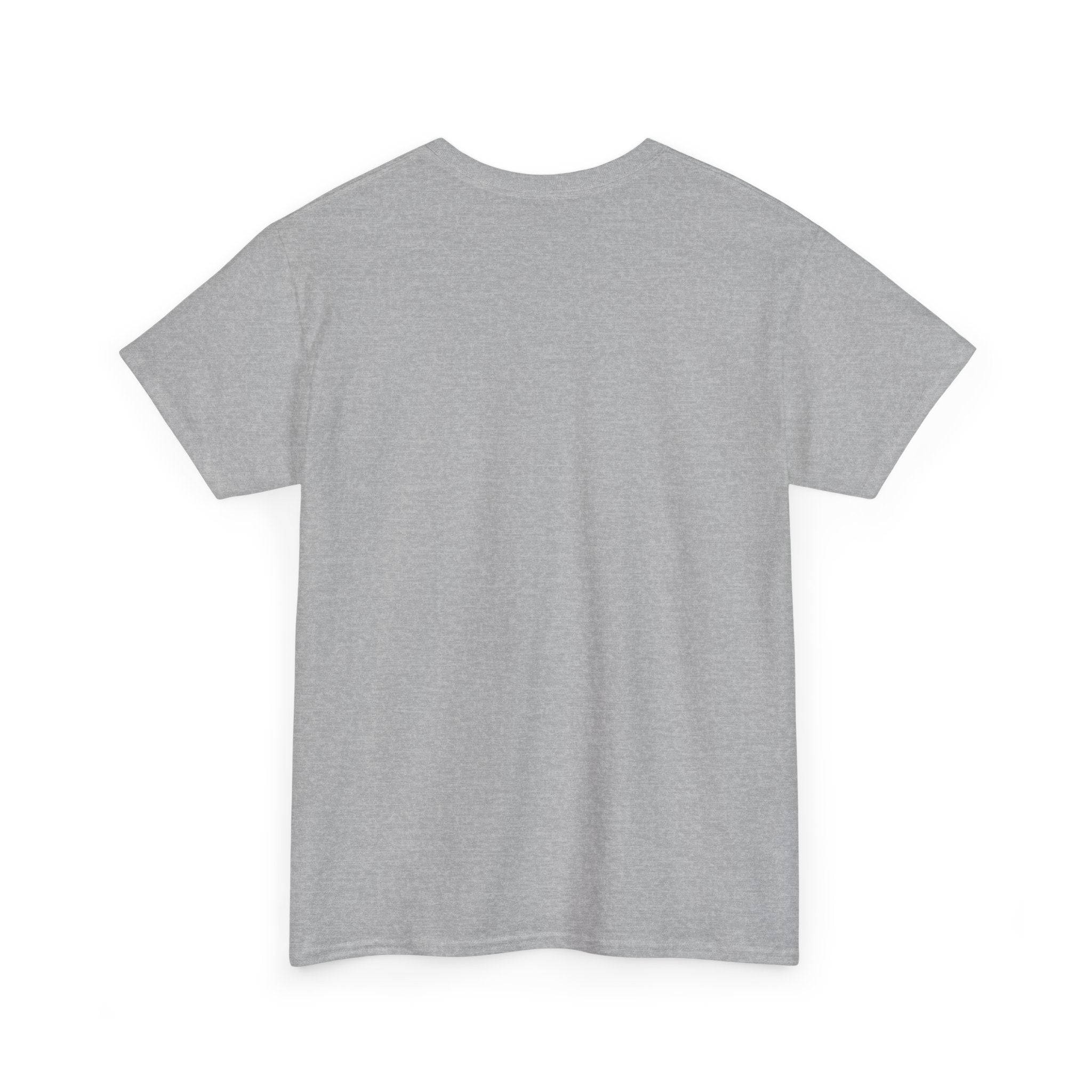 I Survived 2020 — Original Design Teaser Tee | Season 1 Premiere Drop Unisex Heavy Cotton Tee
