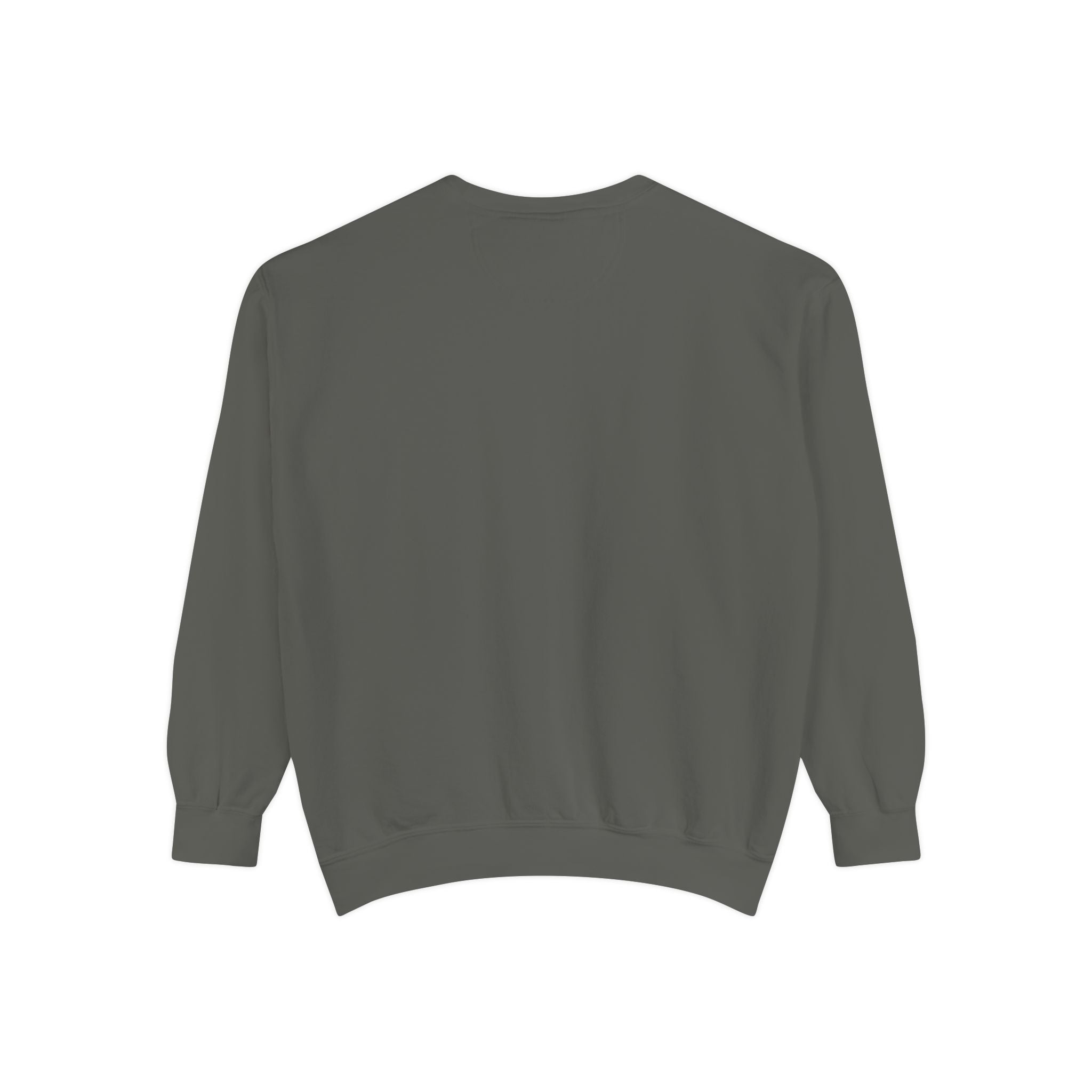 I Survived 2020 — Original Design Teaser Sweatshirt | Season 1 Premiere Drop Unisex Garment-Dyed Sweatshirt