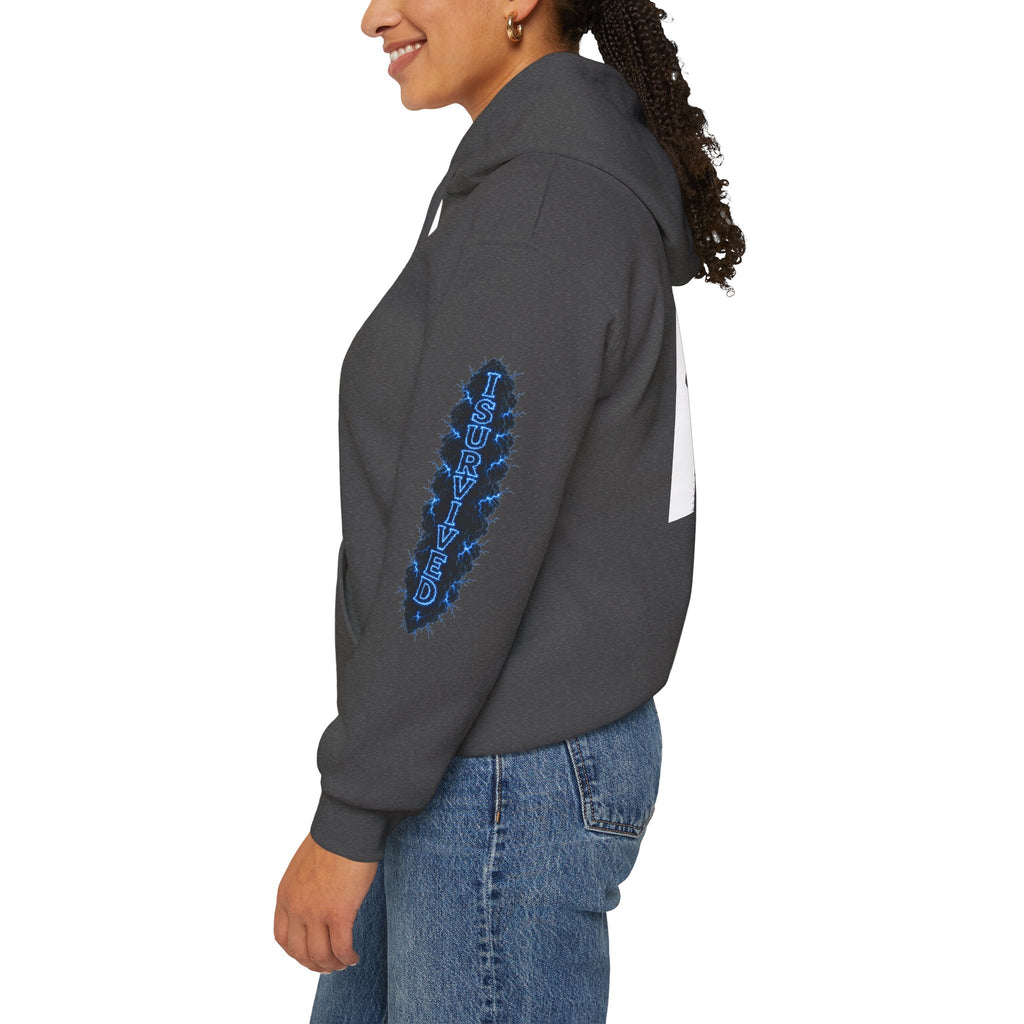 I Survived 2020 — Director's Cut S3:E3 "Remote Schooling" | Lockdown Edition Documentary Hoodie Sweatshirt