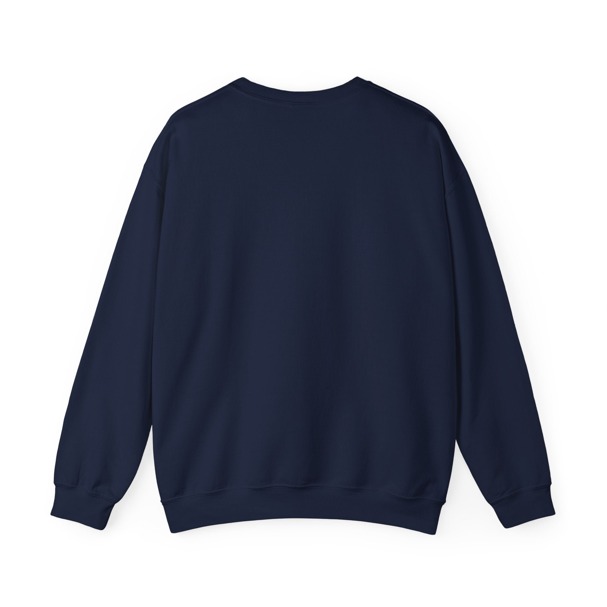 I Survived 2020 — Original Design Teaser Tee | Season 1 Premiere Drop Unisex Heavy Blend™ Crewneck Sweatshirt