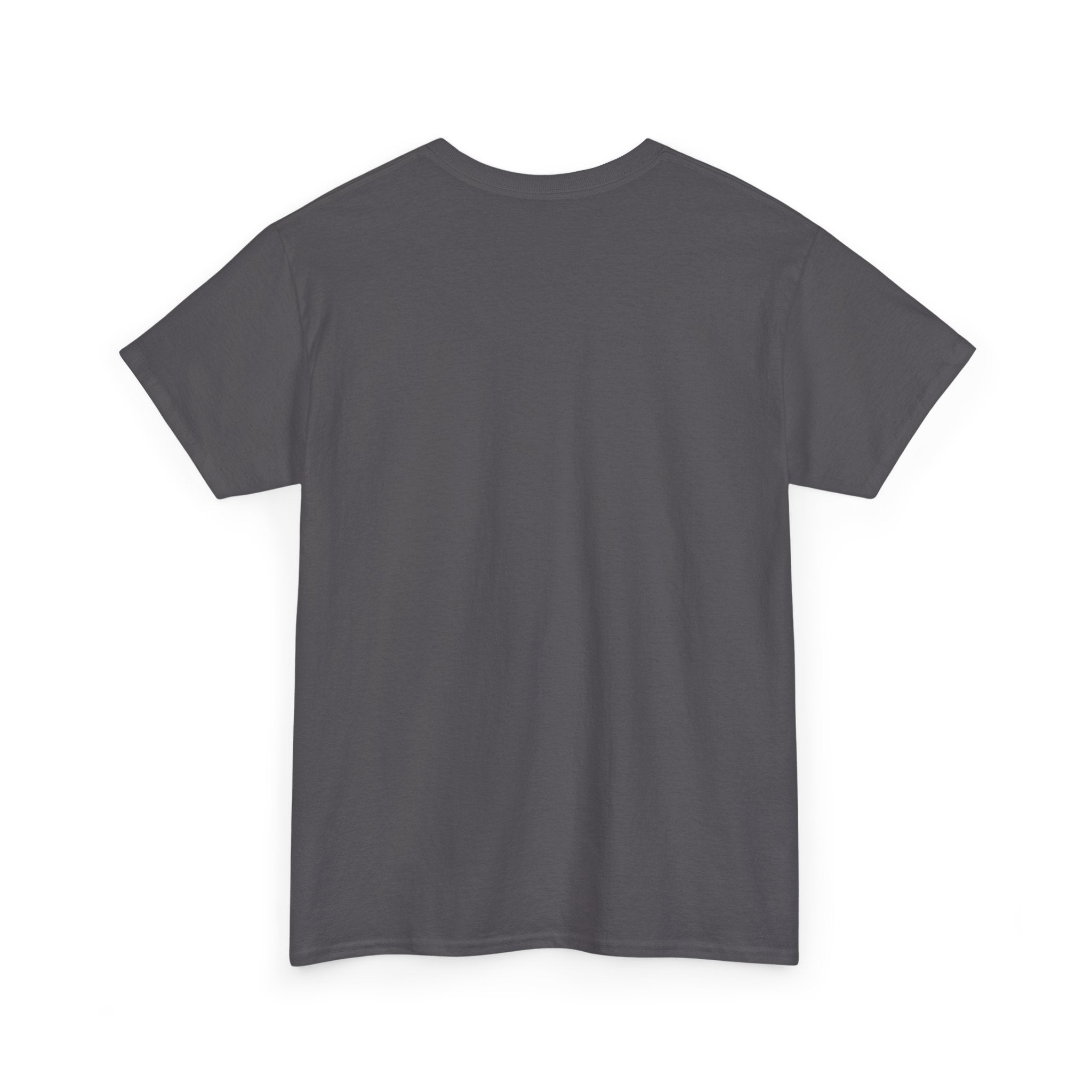 I Survived 2020 —  Deriector's Cut Original Design Teaser Tee | Season 1 Premiere Drop Unisex Heavy Cotton Tee