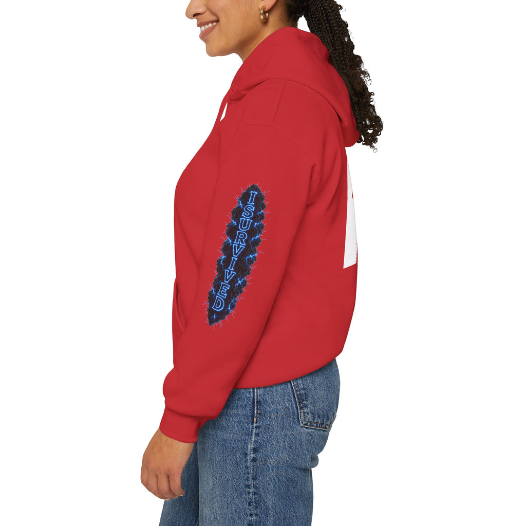 I Survived 2020 — Director's Cut S3:E3 "Remote Schooling" | Lockdown Edition Documentary Hoodie Sweatshirt