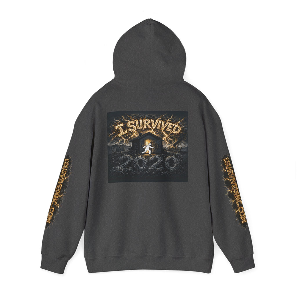 I Survived 2020 - Original PILOT Design Hoodie