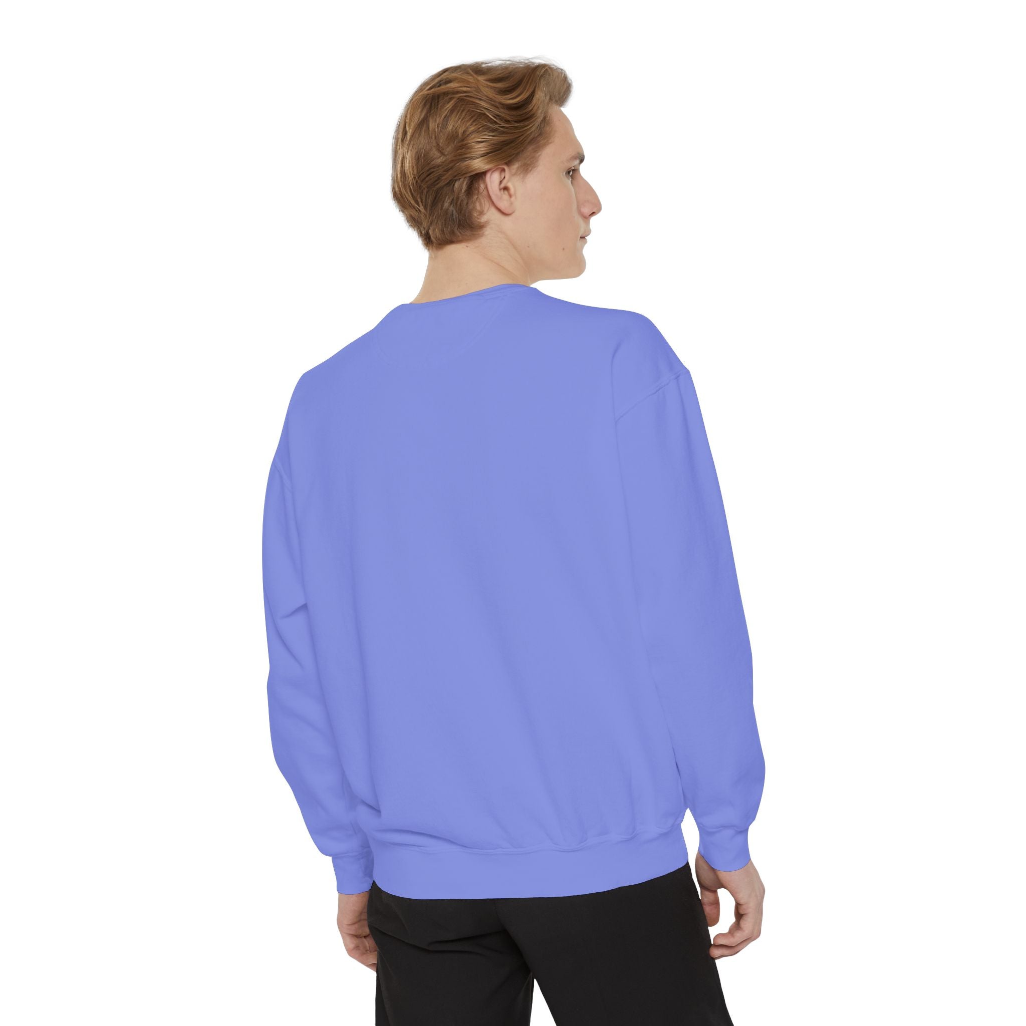 I Survived 2020 — Original Design Teaser Sweatshirt | Season 1 Premiere Drop Unisex Garment-Dyed Sweatshirt