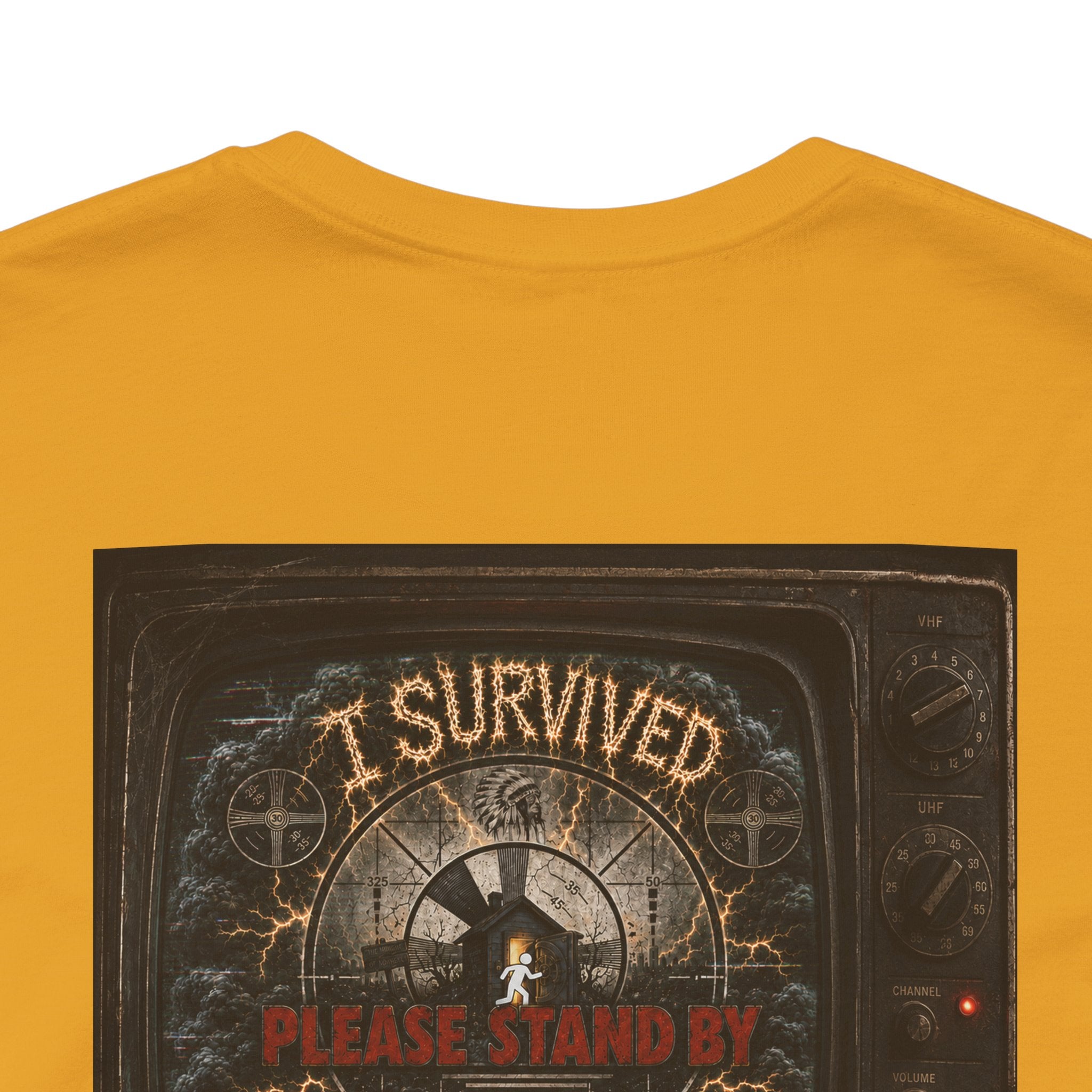 I Survived 2020 — "Please Stand By" Test Pattern Tee Summer Premier Unisex Jersey Short Sleeve Tee