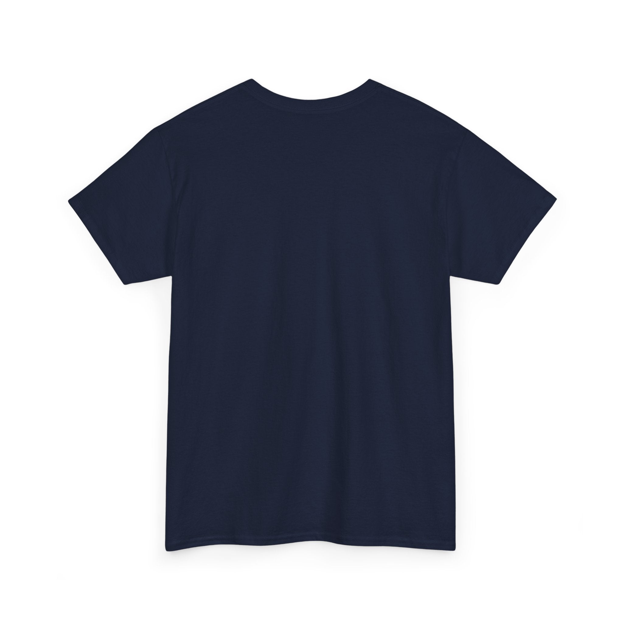 I Survived 2020 — Original Design Teaser Tee | Season 1 Premiere Drop Unisex Heavy Cotton Tee