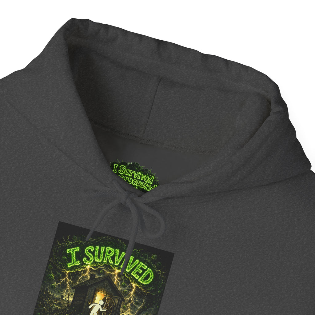 I Survived 2020 — S1:E5 "Delivery Doomsday" | Pandemic Edition Hoodie Sweatshirt