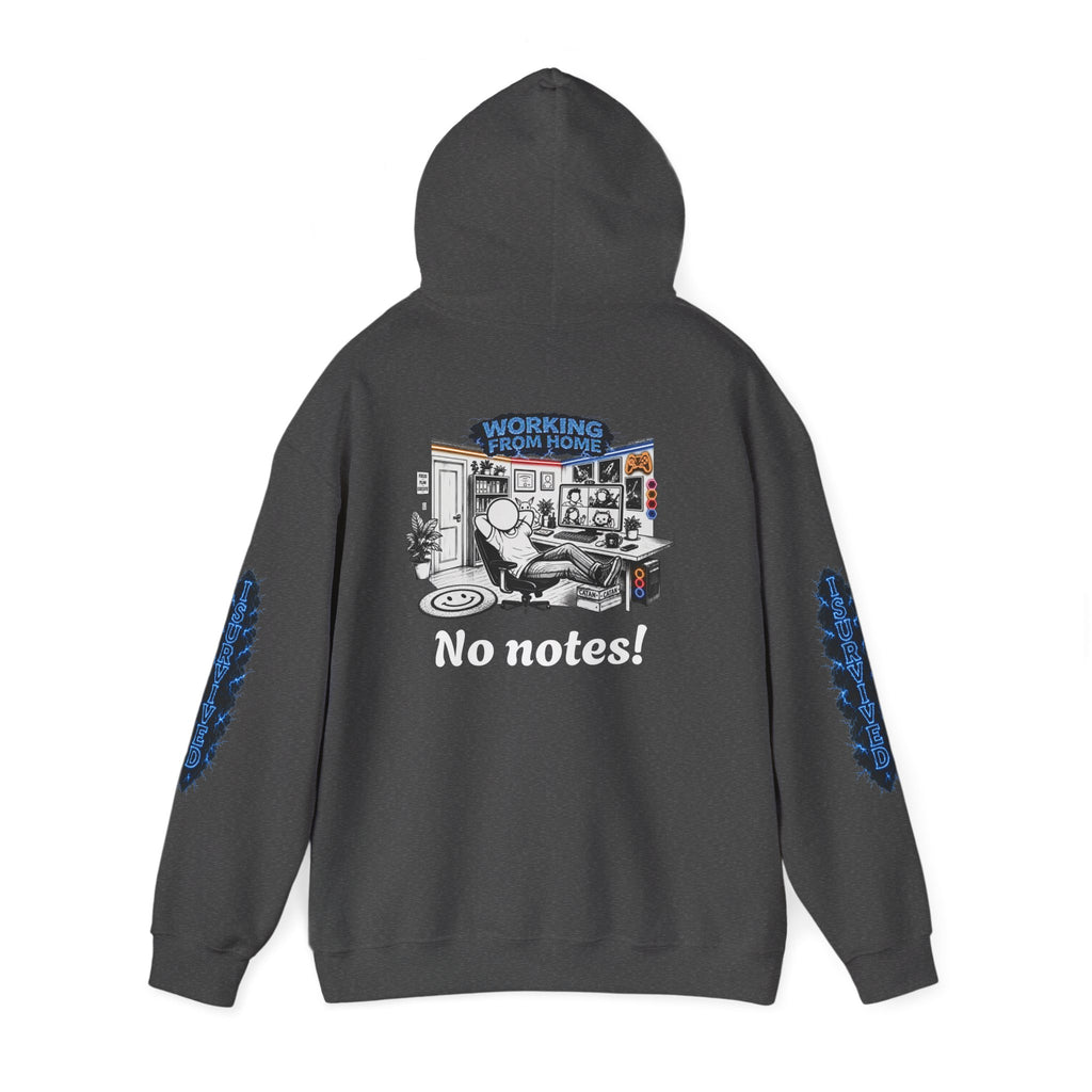I Survived 2020 — Director's Cut S3:E4 "Working From Home" | Mid-Season Finale Pt. 1 | Lockdown Edition Documentary Hoodie Sweatshirt