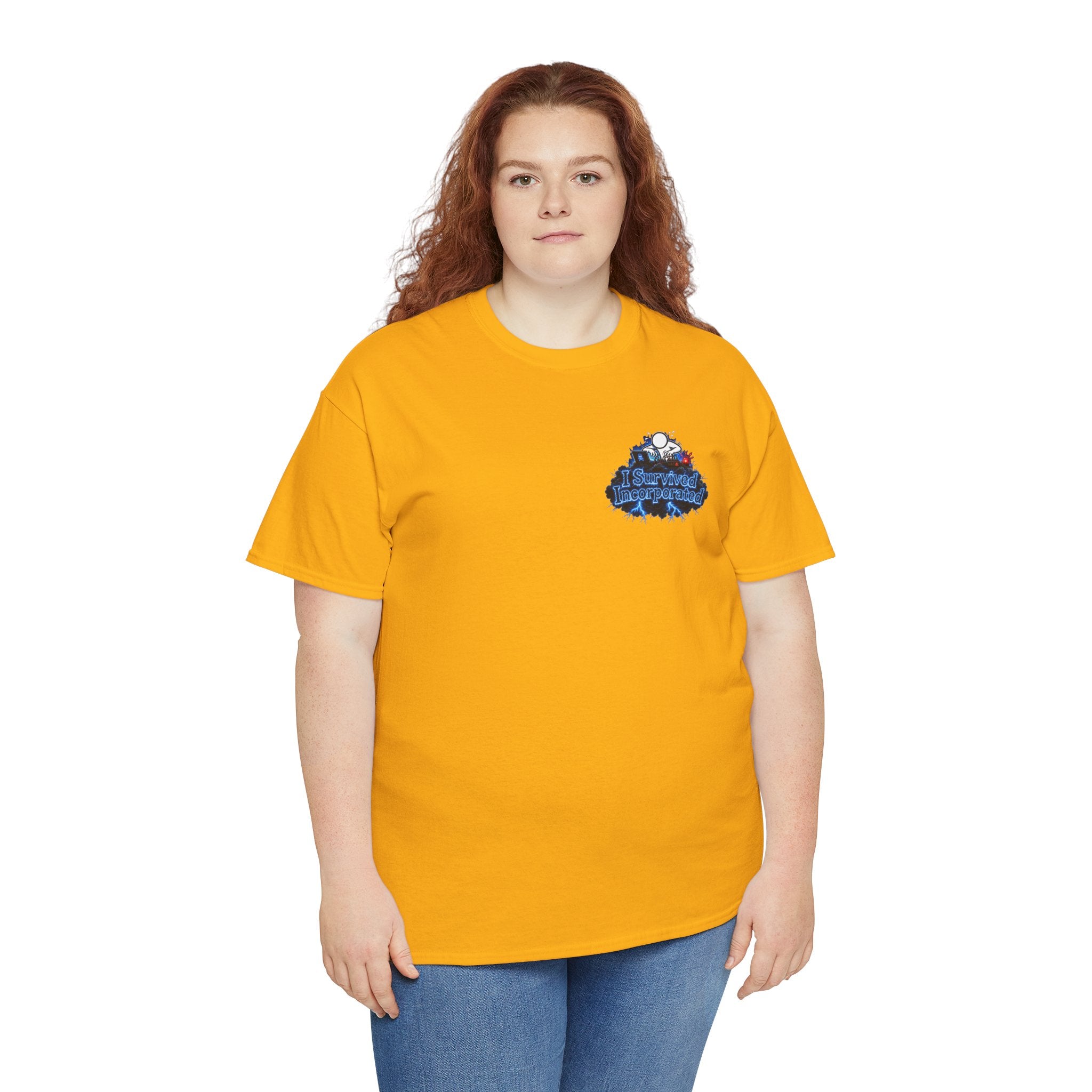I Survived 2020 — "Please Stand By" Test Pattern Tee Lockdown Surveillance Edition Summer Exclusive Unisex Heavy Cotton Tee