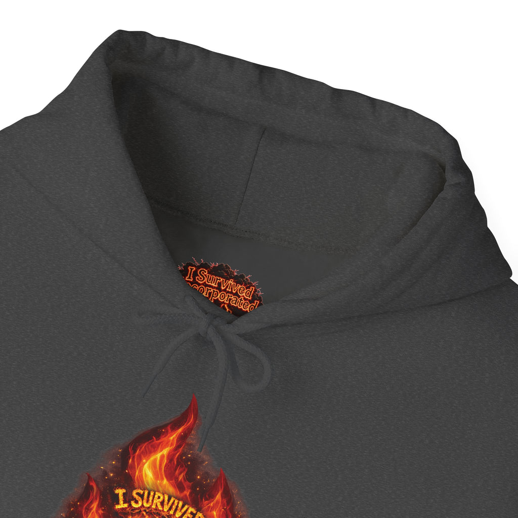I Survived 2020 — Director's Cut S2:E3 "The California Wildfires" | Wildfire Edition Memorial Hoodie Sweatshirt