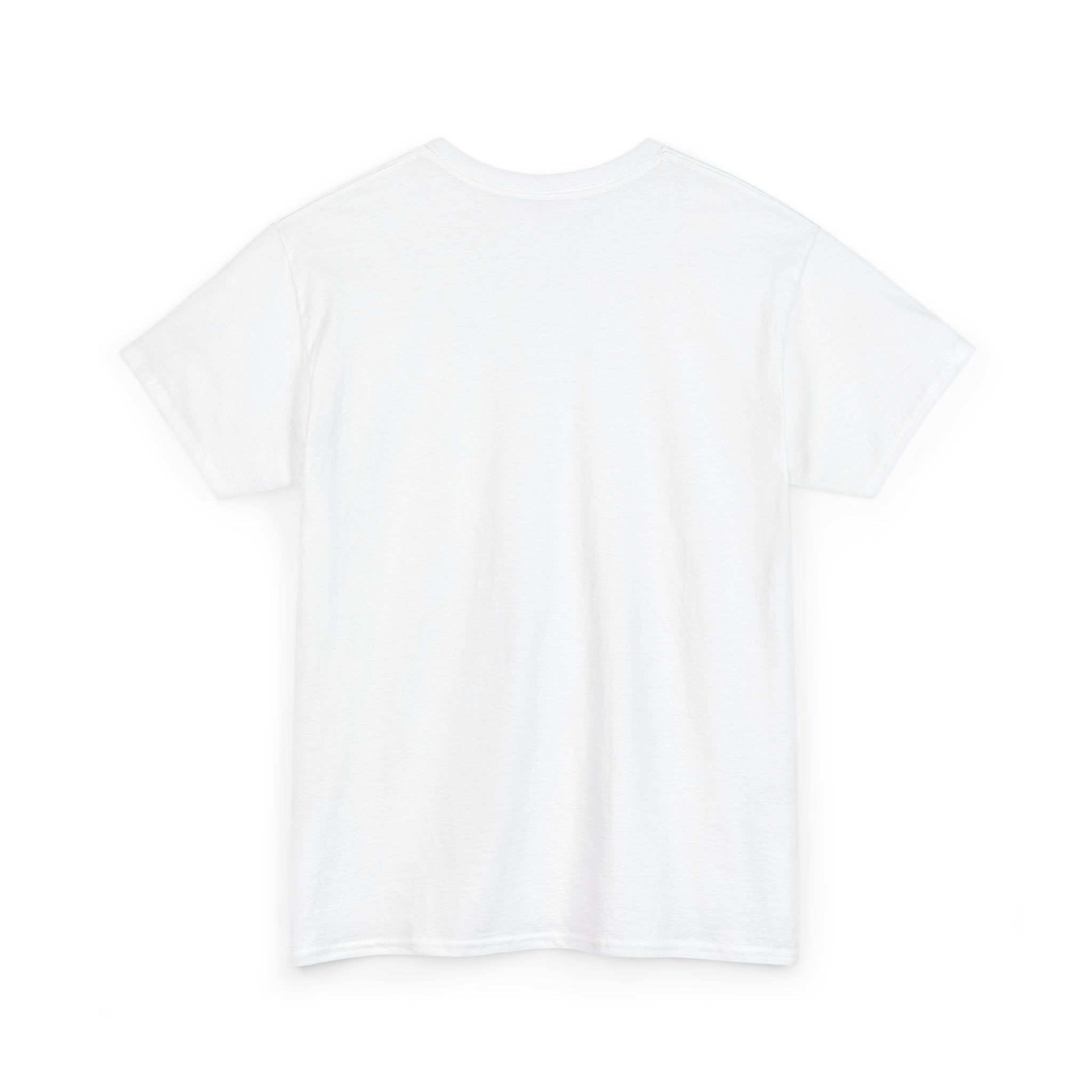 I Survived 2020 — Original Design Teaser Tee | Season 1 Premiere Drop