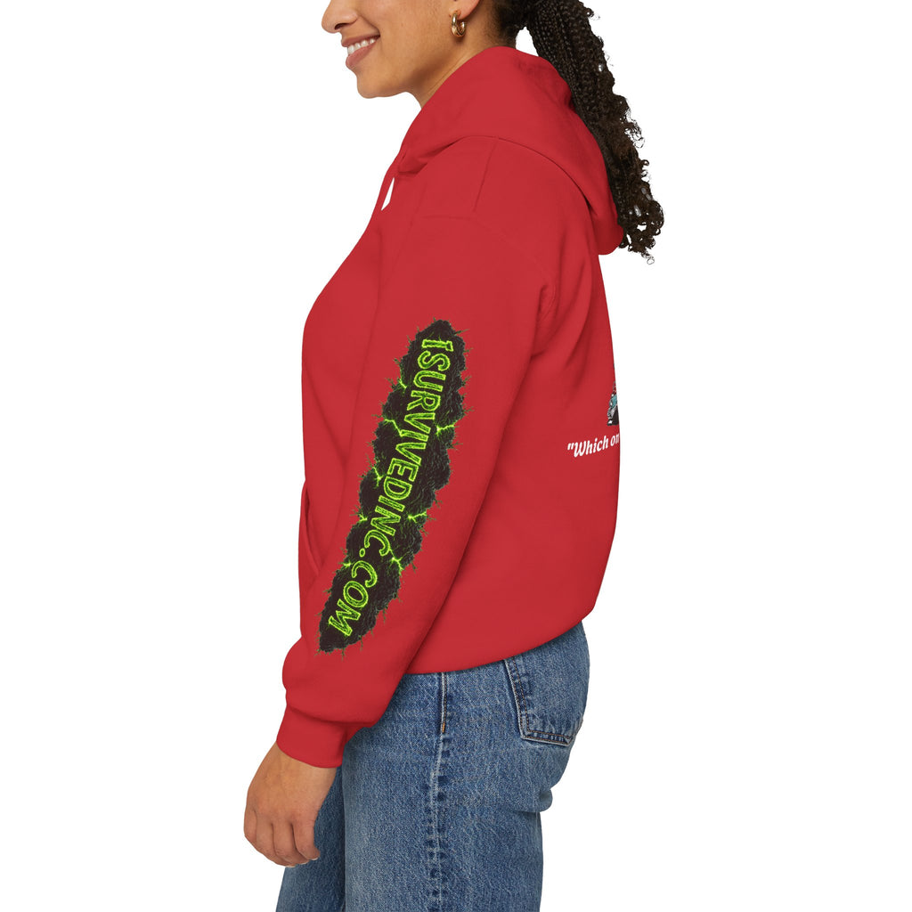 I Survived 2020 — S1:E4 "Mask Madness Mayhem Moment" | Pandemic Edition Hoodie Sweatshirt
