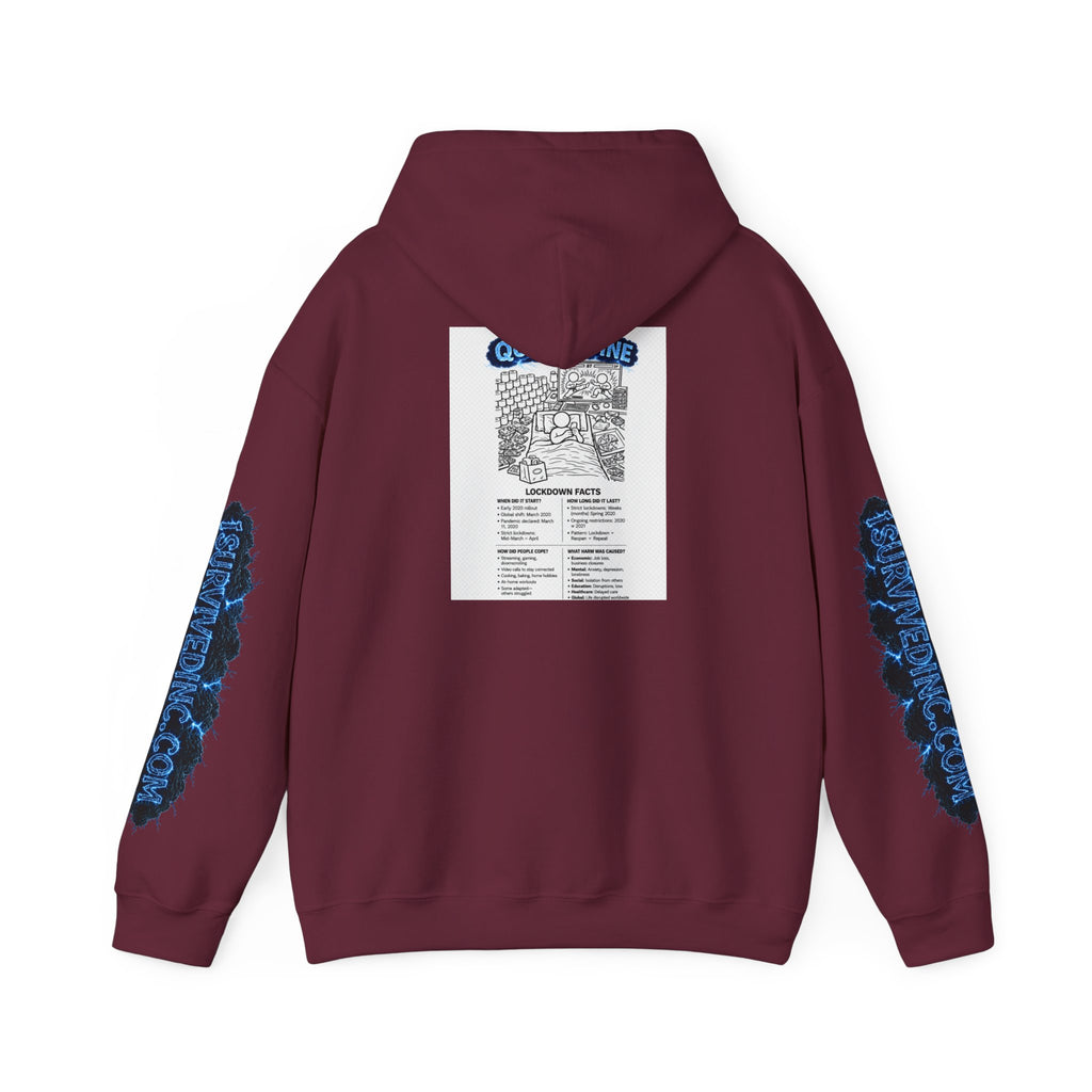 I Survived 2020 — S3:E1 "Quarantine" | Lockdown Edition Documentary Hoodie Sweatshirt