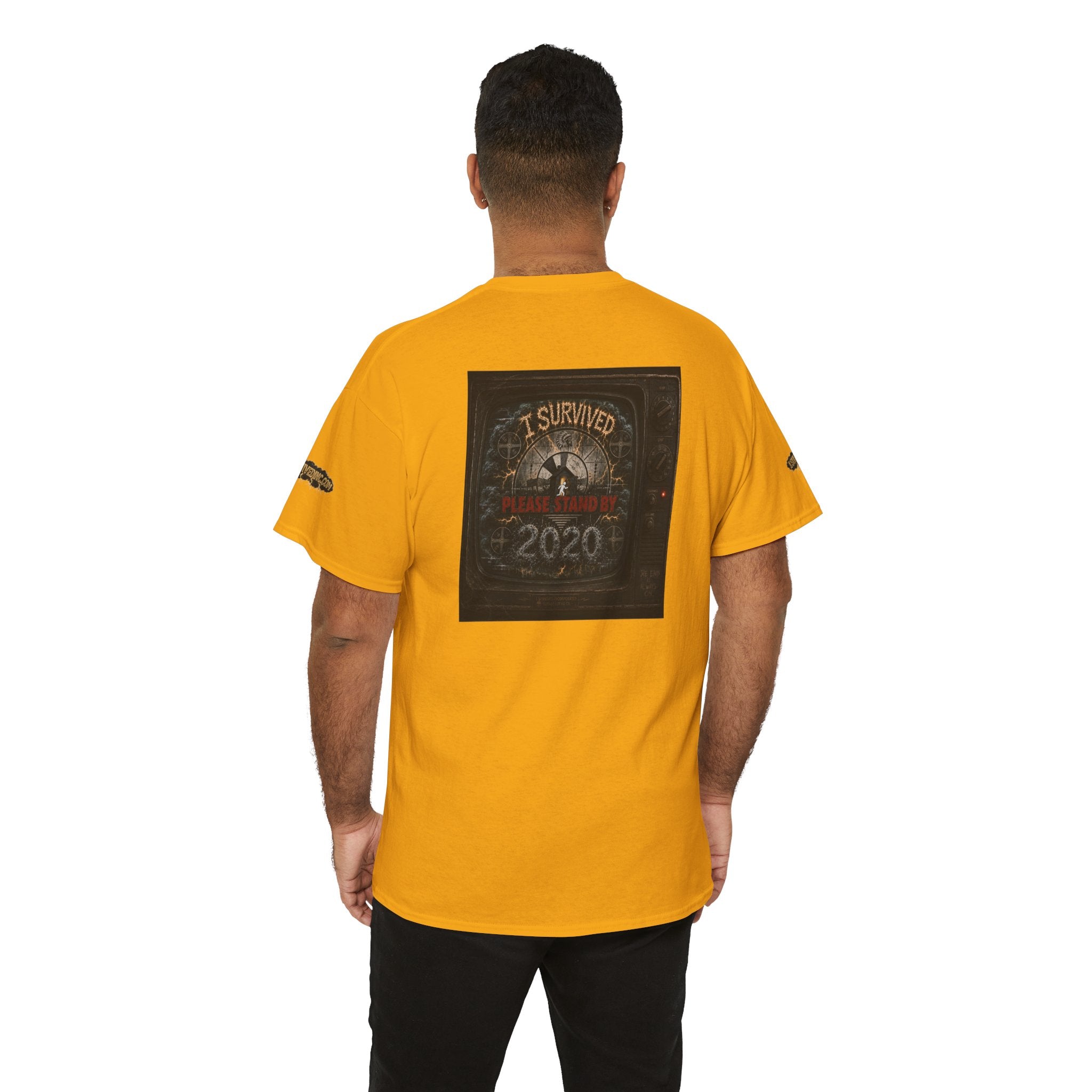 I Survived 2020 — "Please Stand By" Test Pattern Tee Special Edition Summer Premier Unisex Heavy Cotton Tee