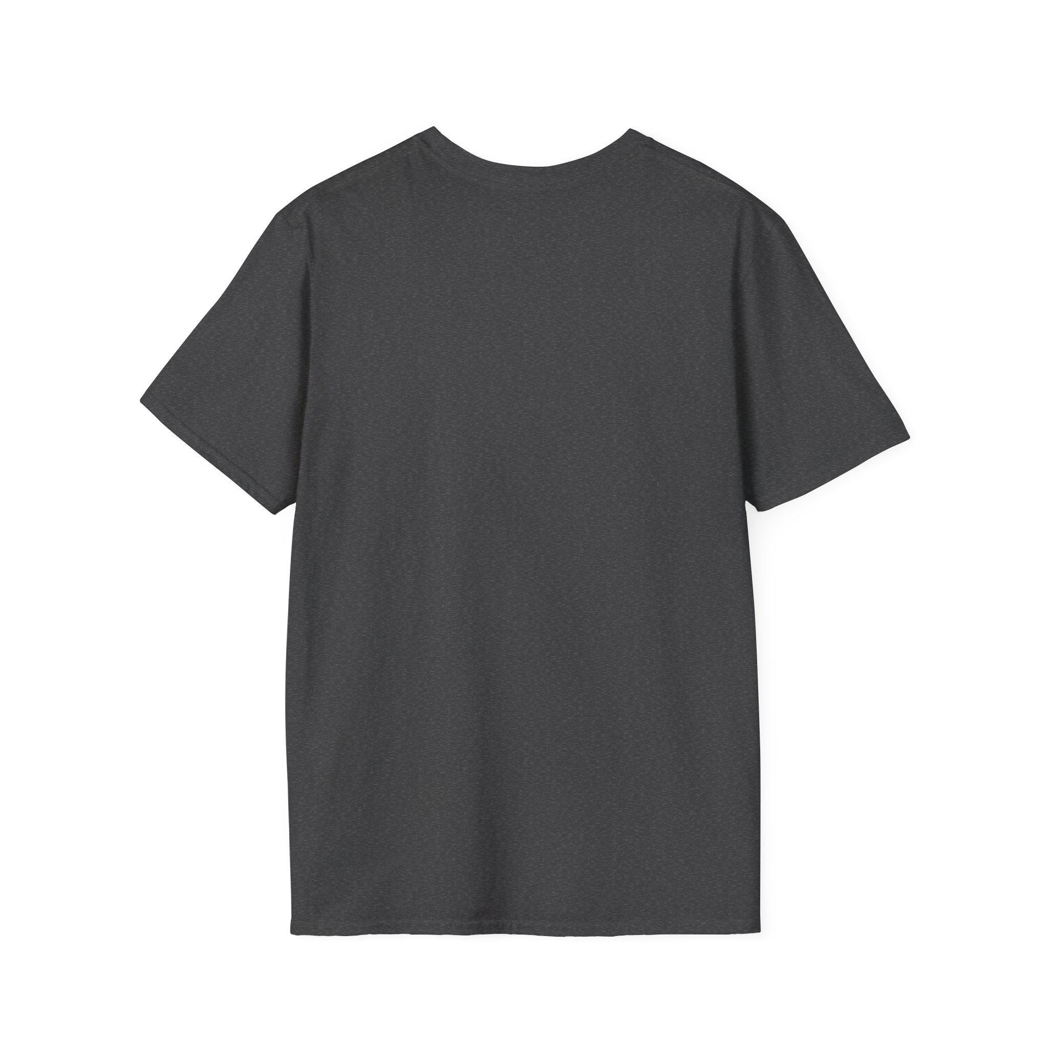 I Survived 2020 — Original PILOT Design Unisex Softstyle T-Shirt