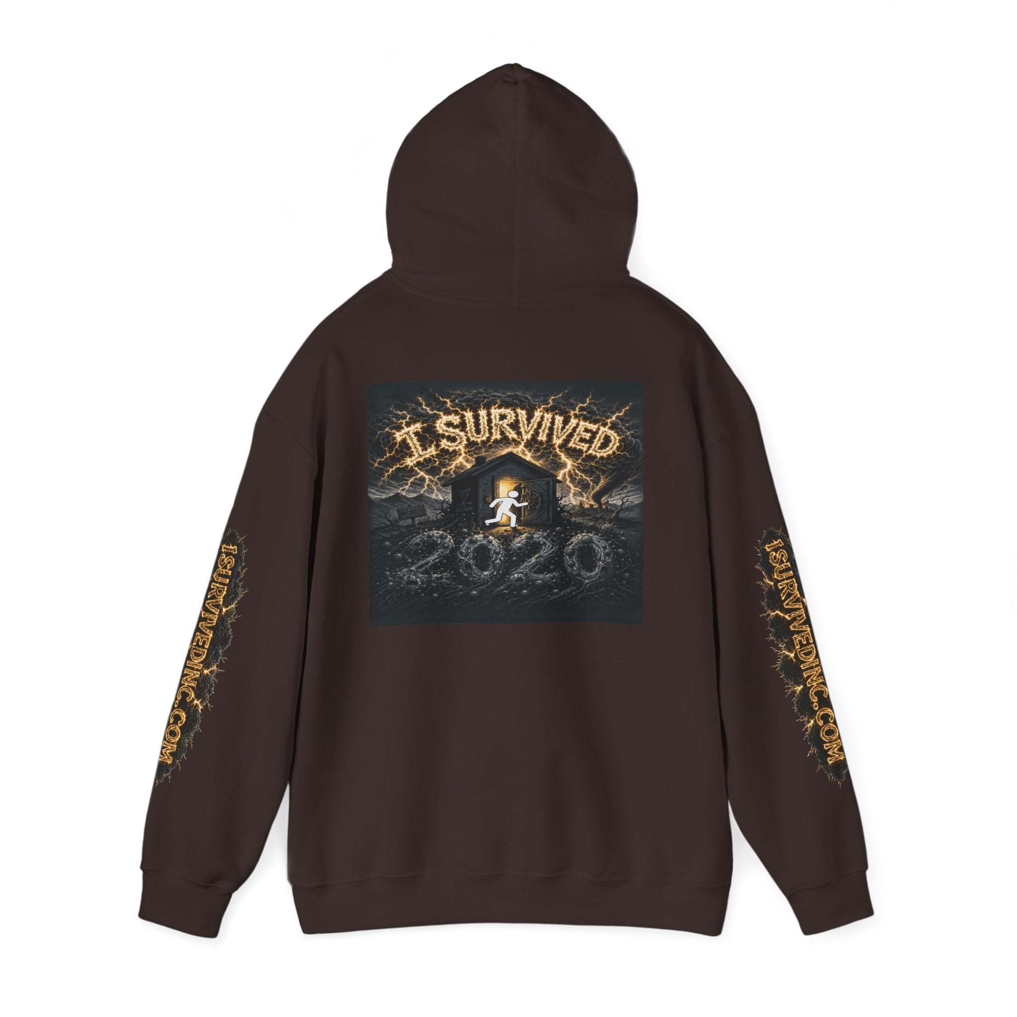 I Survived 2020 - Original PILOT Design Hoodie