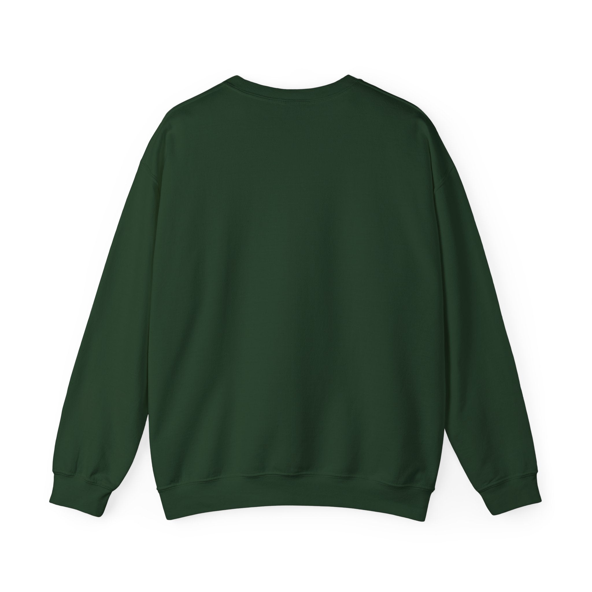I Survived 2020 — Original Design Teaser Tee | Season 1 Premiere Drop Unisex Heavy Blend™ Crewneck Sweatshirt