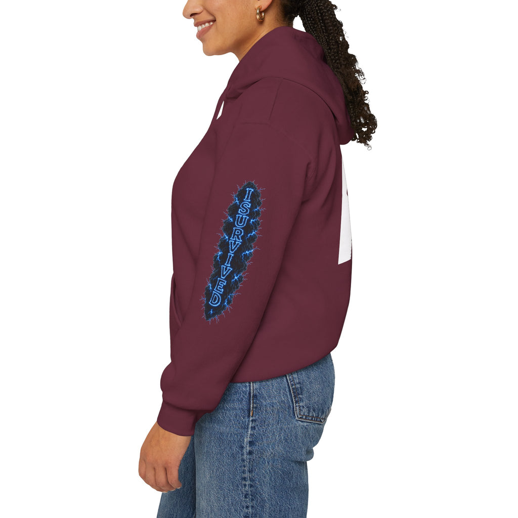 I Survived 2020 — Director's Cut S3:E3 "Remote Schooling" | Lockdown Edition Documentary Hoodie Sweatshirt