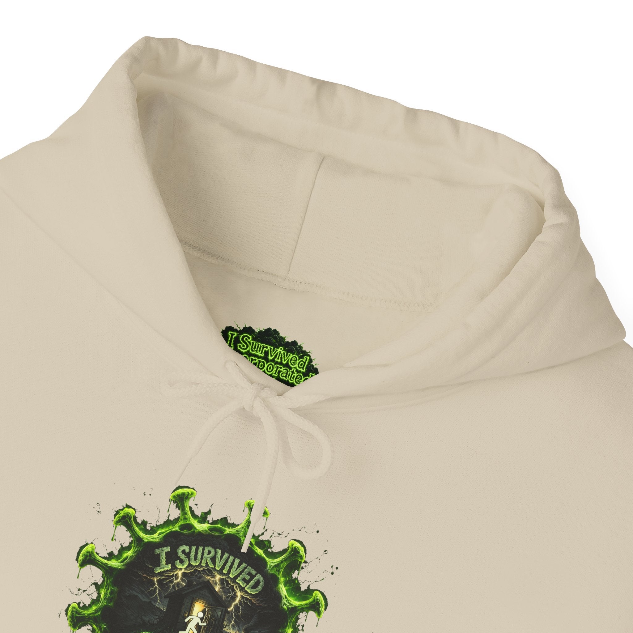 I Survived 2020 — Director's Cut S1:E4 "Mask Madness Mayhem Moment" | Pandemic Edition Hoodie Sweatshirt