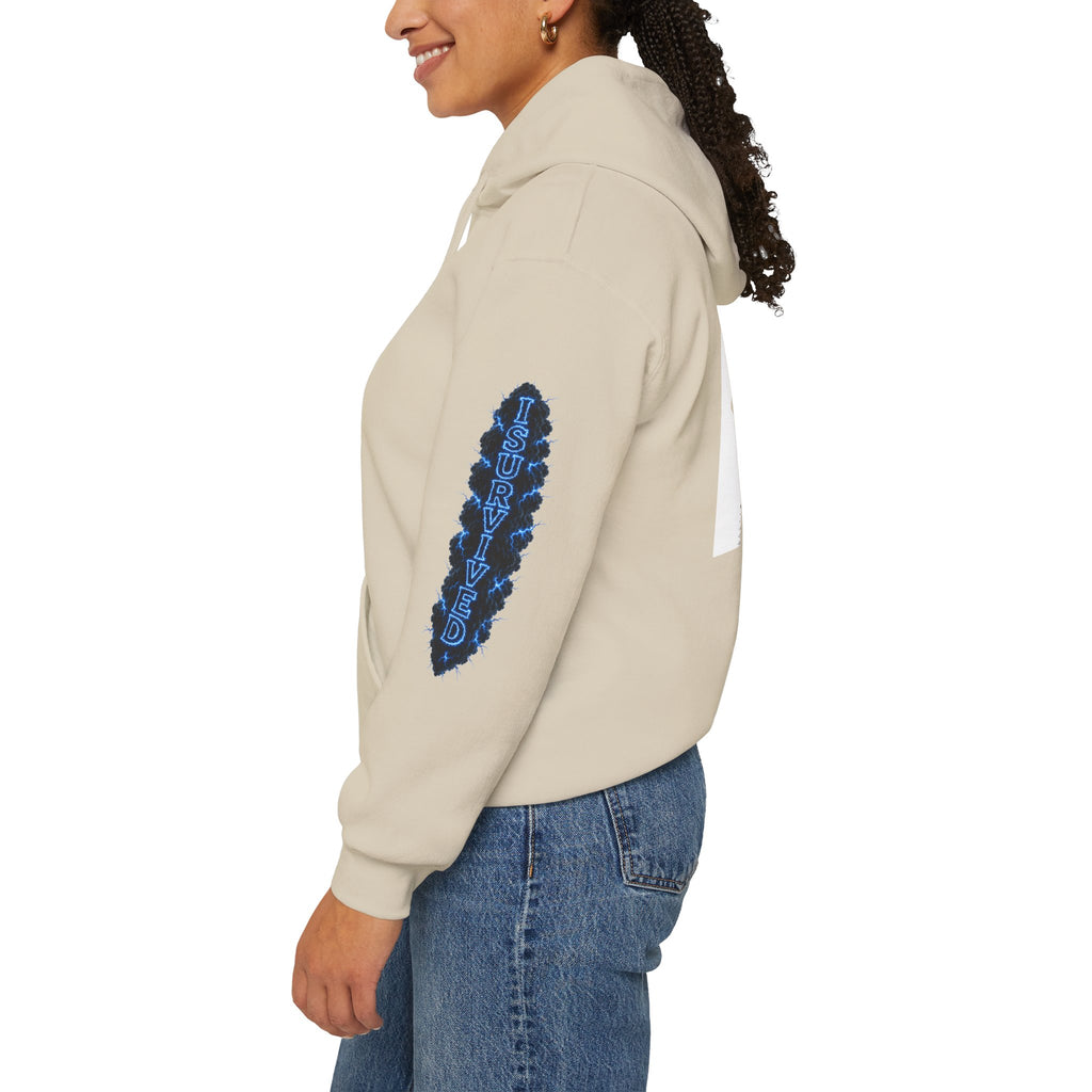 I Survived 2020 — Director's Cut S3:E3 "Remote Schooling" | Lockdown Edition Documentary Hoodie Sweatshirt