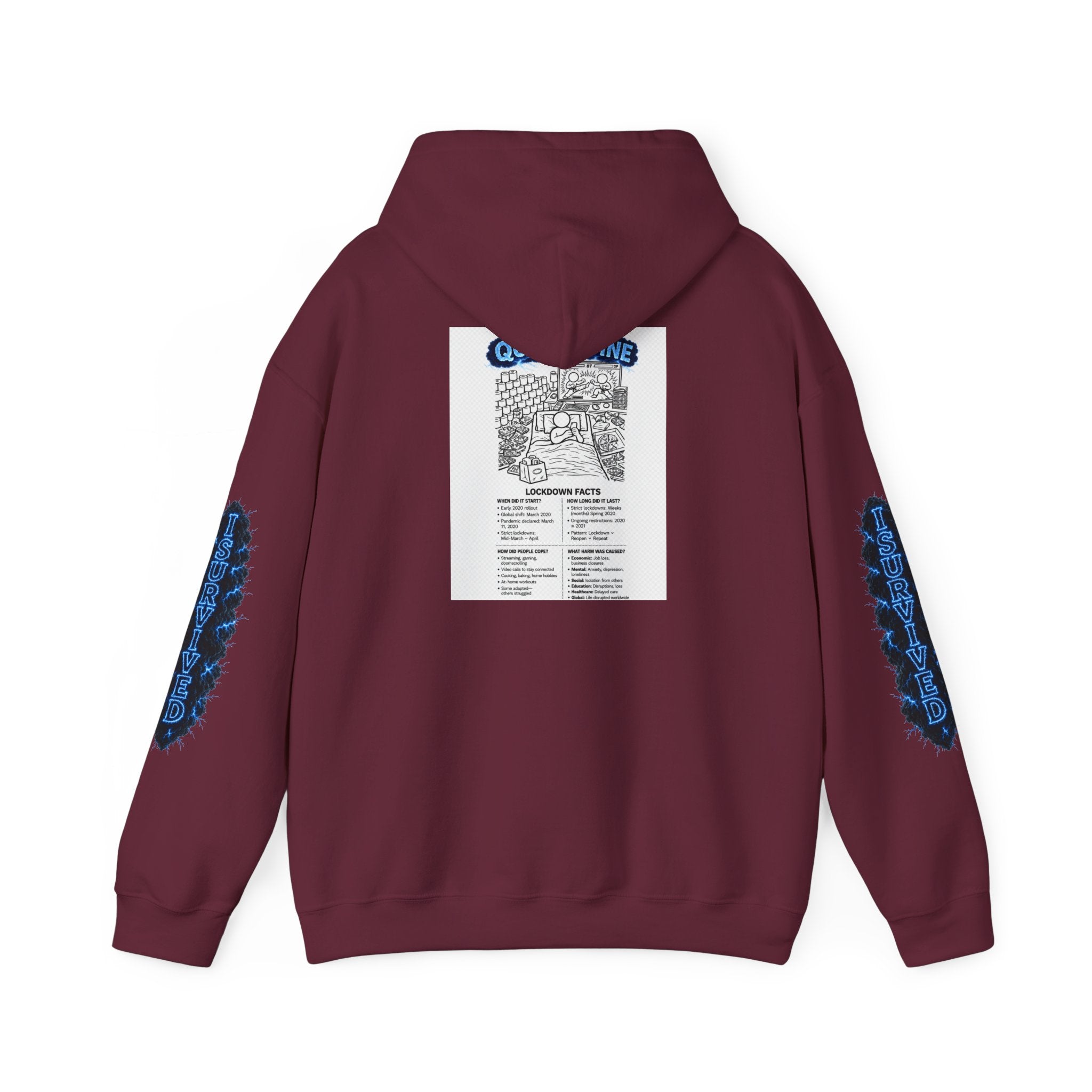 I Survived 2020 — Director's Cut S3:E1 "Quarantine" | Lockdown Edition Documentary Hoodie Sweatshirt