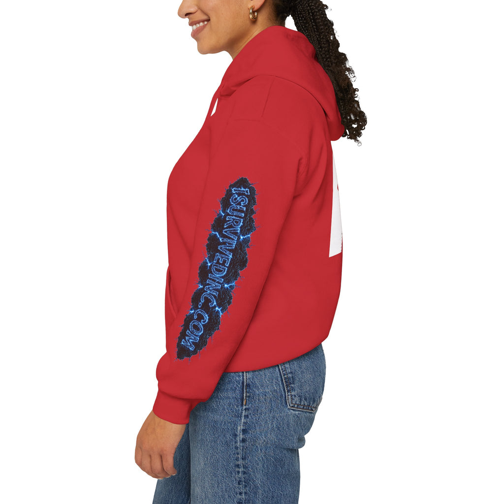 I Survived 2020 — S3:E3 "Remote Schooling" | Lockdown Edition Documentary Hoodie Sweatshirt
