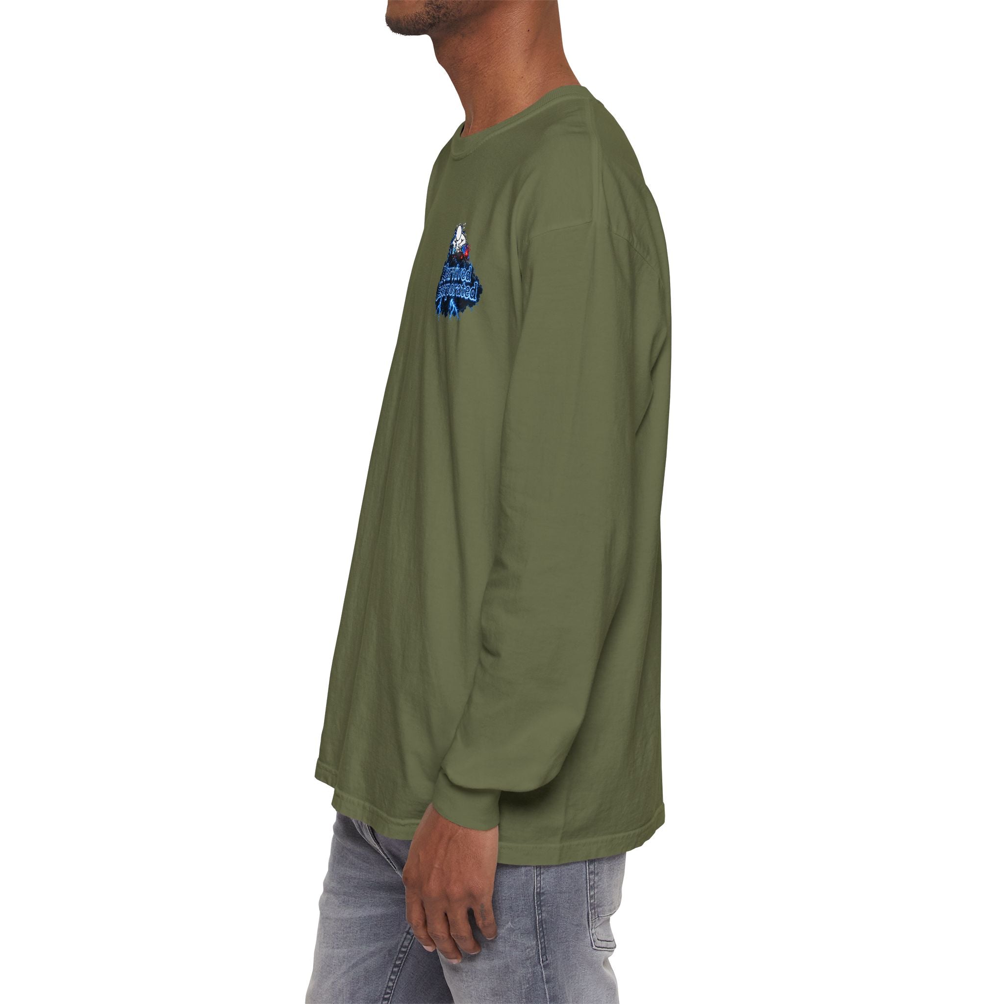 I Survived 2020 — "Please Stand By" Test Pattern Tee Lockdown Edition Summer Exclusive Unisex Garment-Dyed Long Sleeve T-Shirt