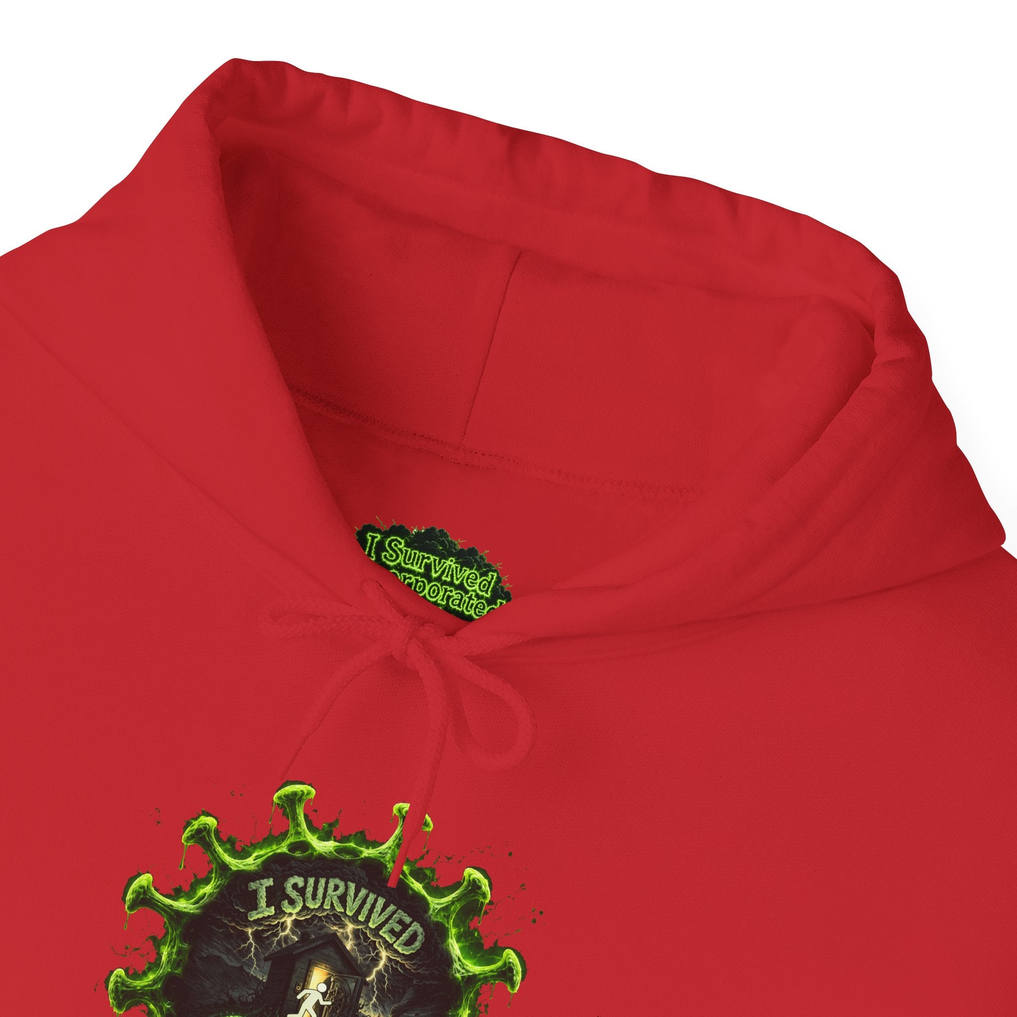 I Survived 2020 — Director's Cut S1:E4 "Mask Madness Mayhem Moment" | Pandemic Edition Hoodie Sweatshirt